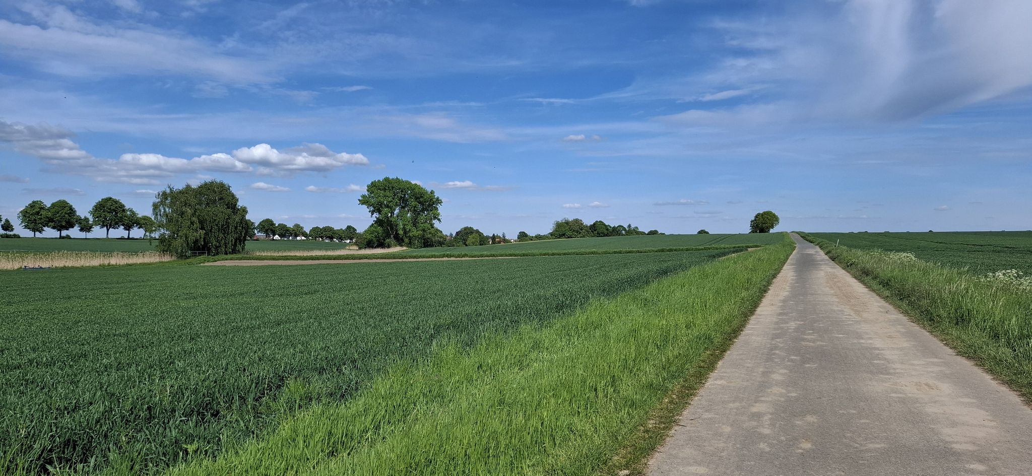 Zurück über Jeinsen und Schulenburg