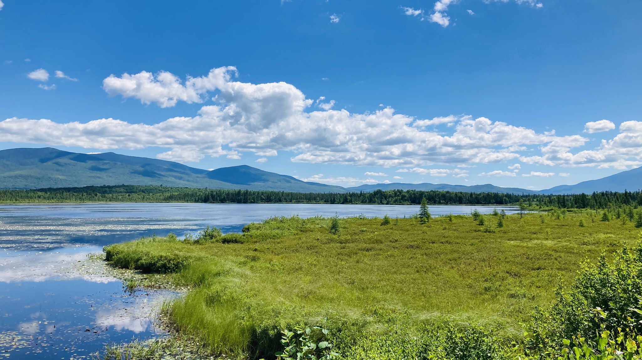 Sunny day over a wide lake with green marsh and distant mountains. - Presidential Rail Trail