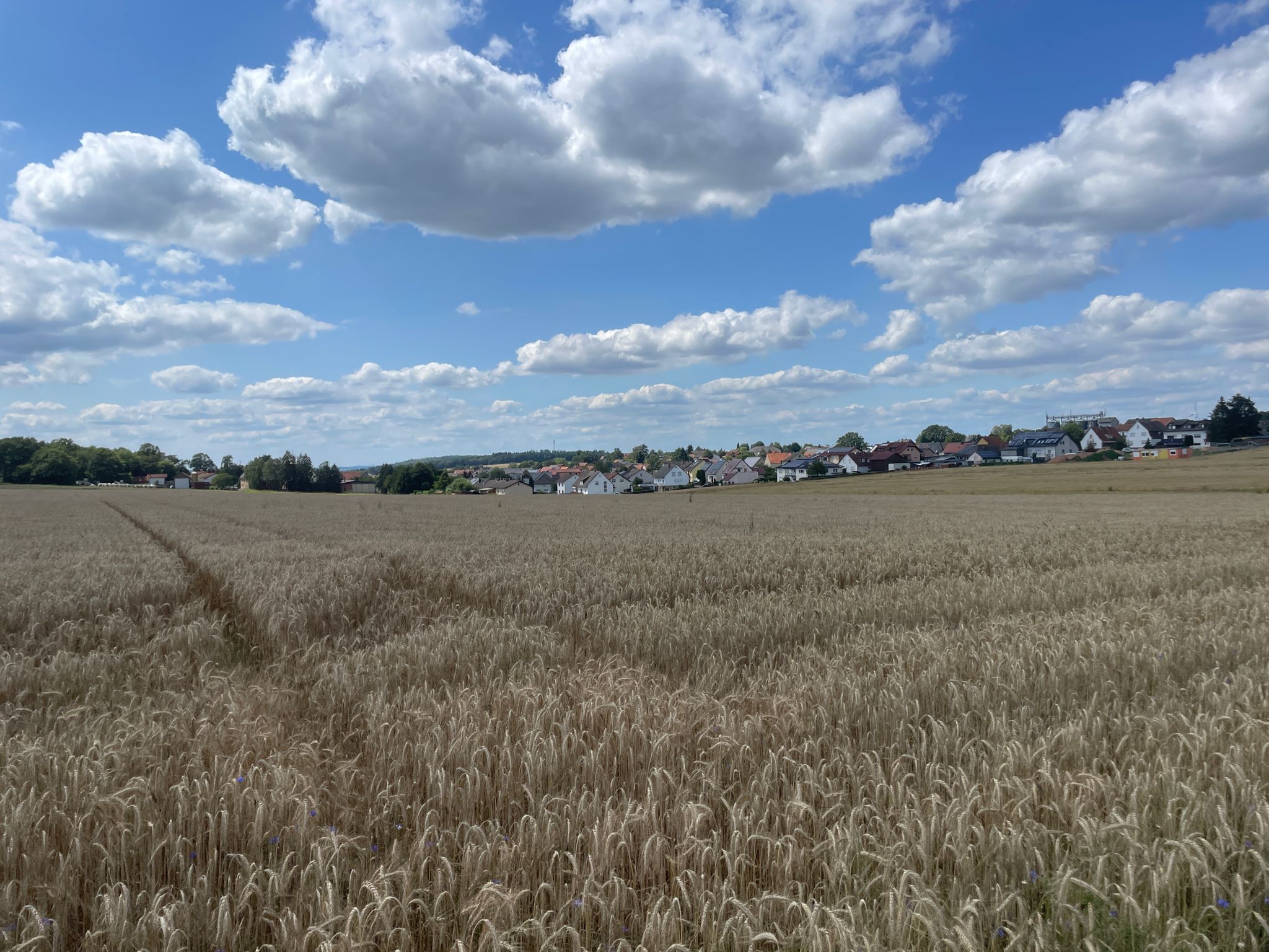 Blick über Lingelbach