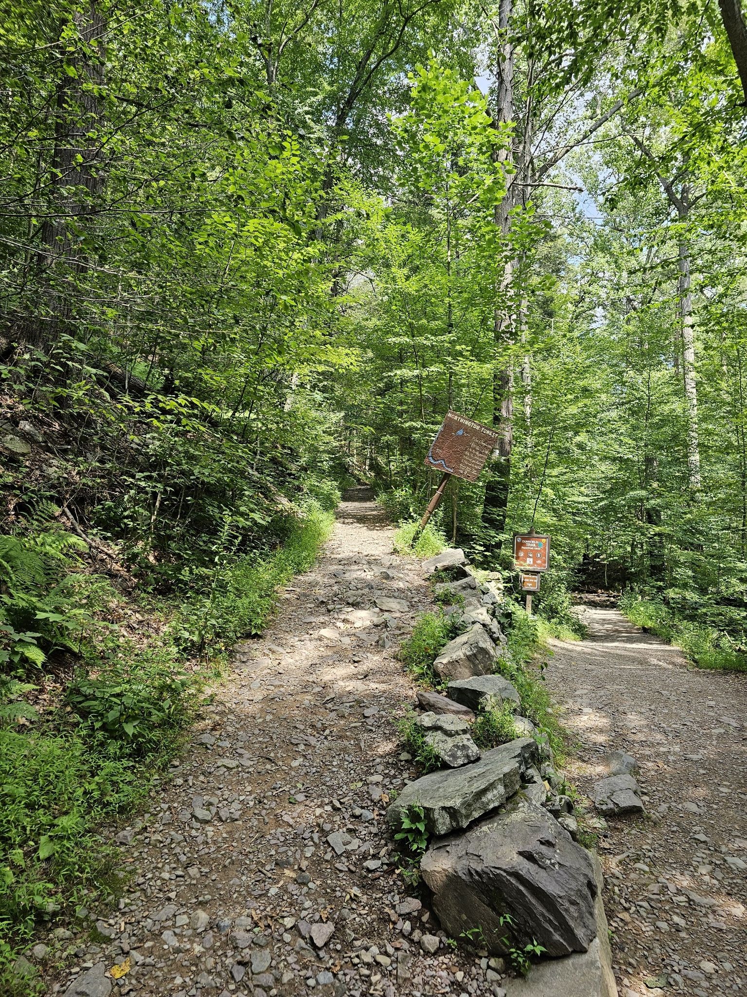 A sunlit dirt path splits in a lush green forest with signs. - Sunfish Pond via Appalachian Trail