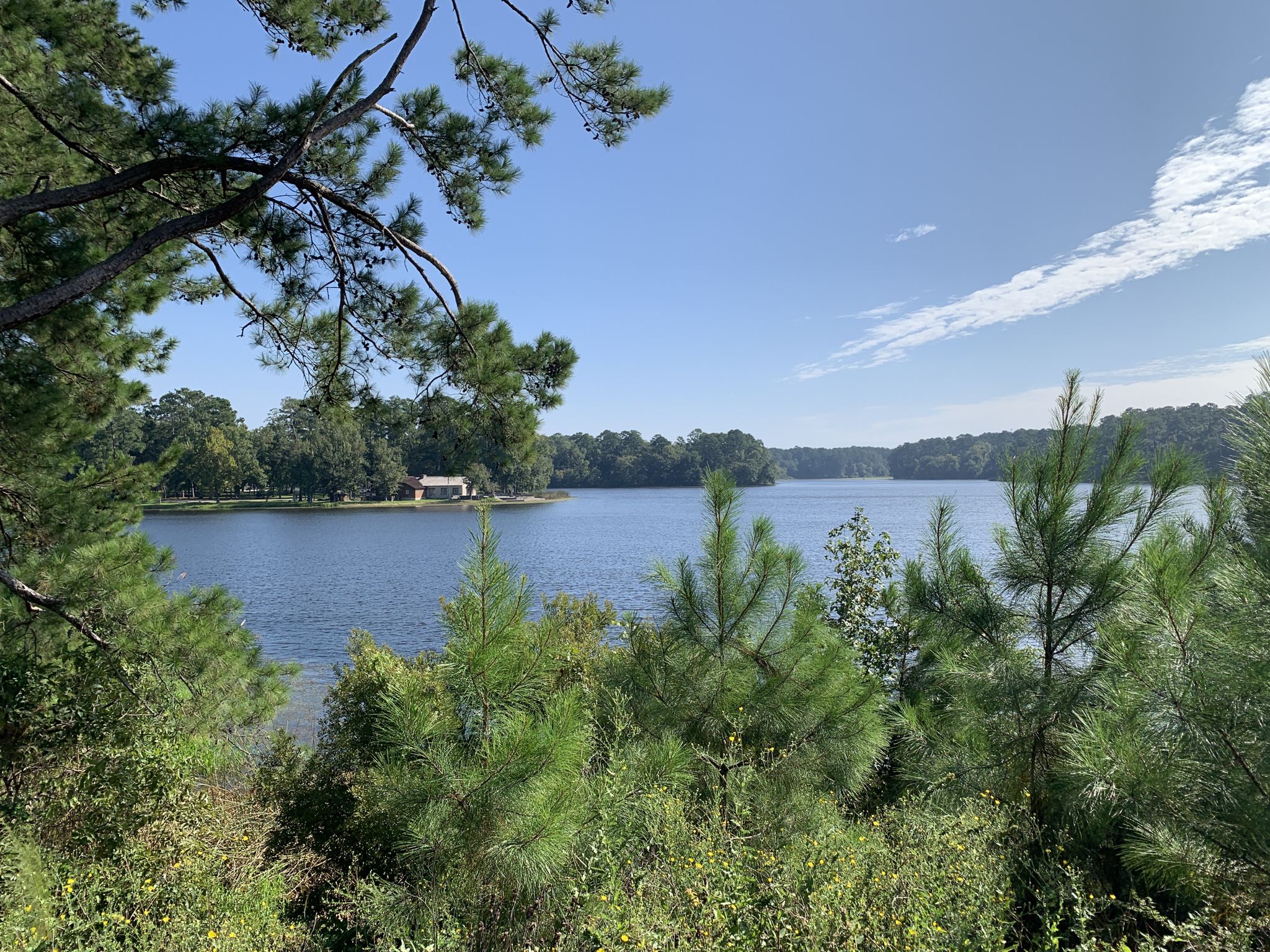 A serene lake seen through pine trees, with a distant building on the shore. - Huntsville State Park MTB Trails