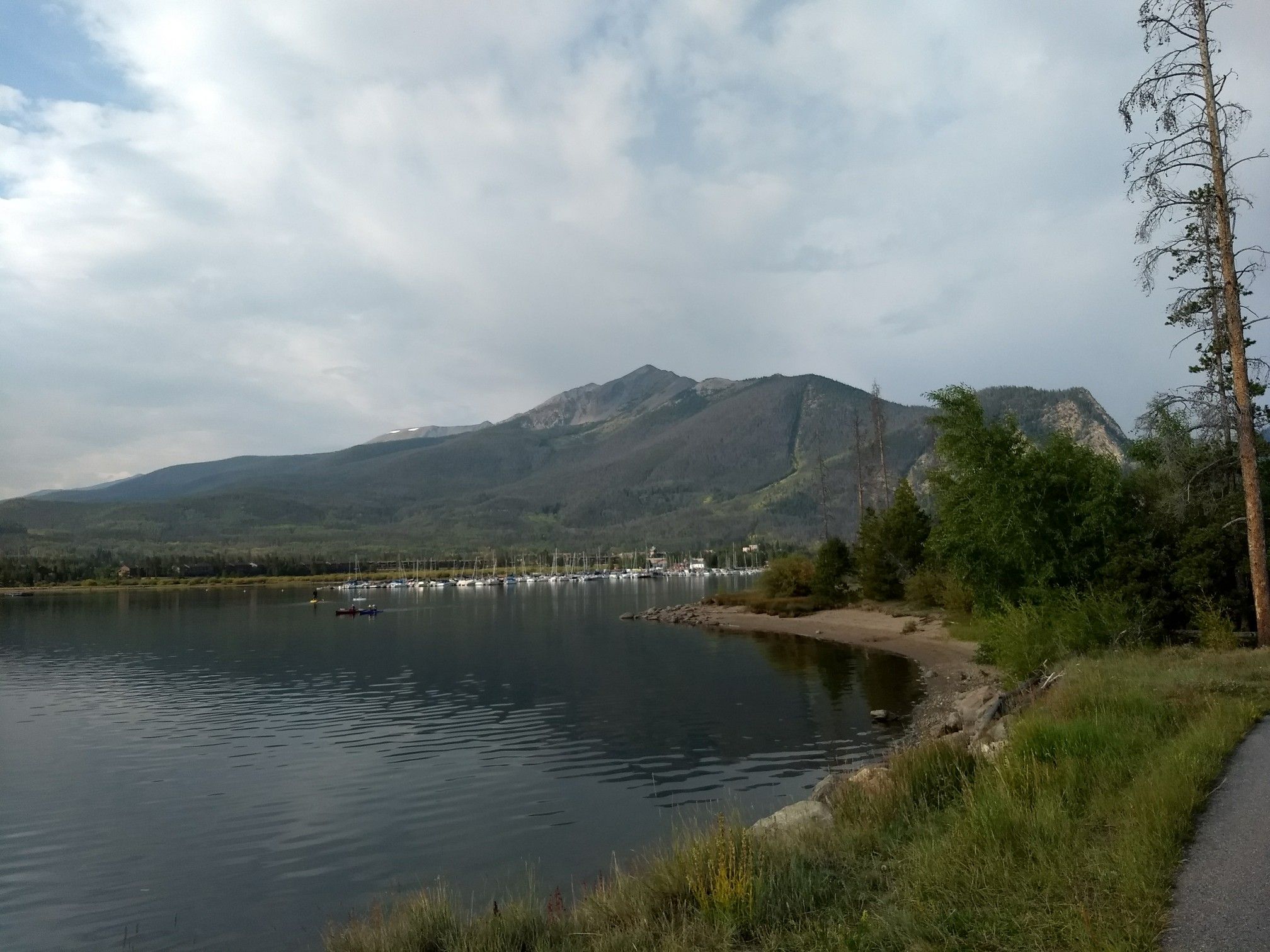Overcast view of a lake with distant mountains, boats docked, and a dead tree. - Dillon Reservoir Recpath