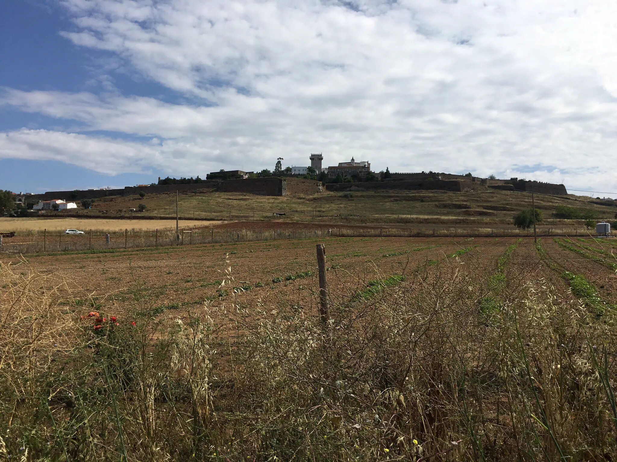 Vista da estrada para o Castelo de Estremoz