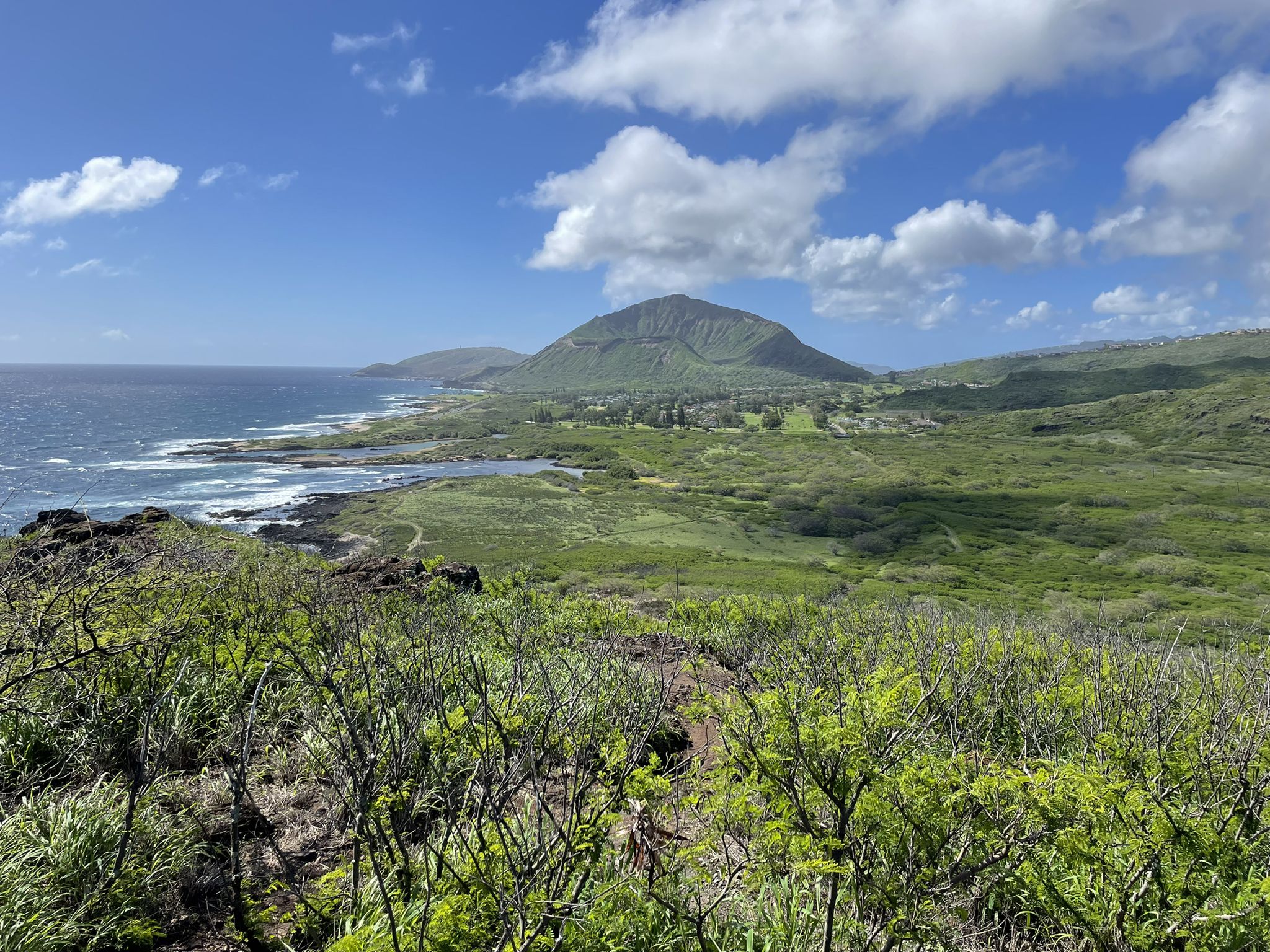 Lush green landscape with a large mountain, ocean, and blue sky with clouds. - Makapu'u Point Trail (Makapu'u Head and Makapu'u lighthouse) – Kaiwi State Scenic Shoreline