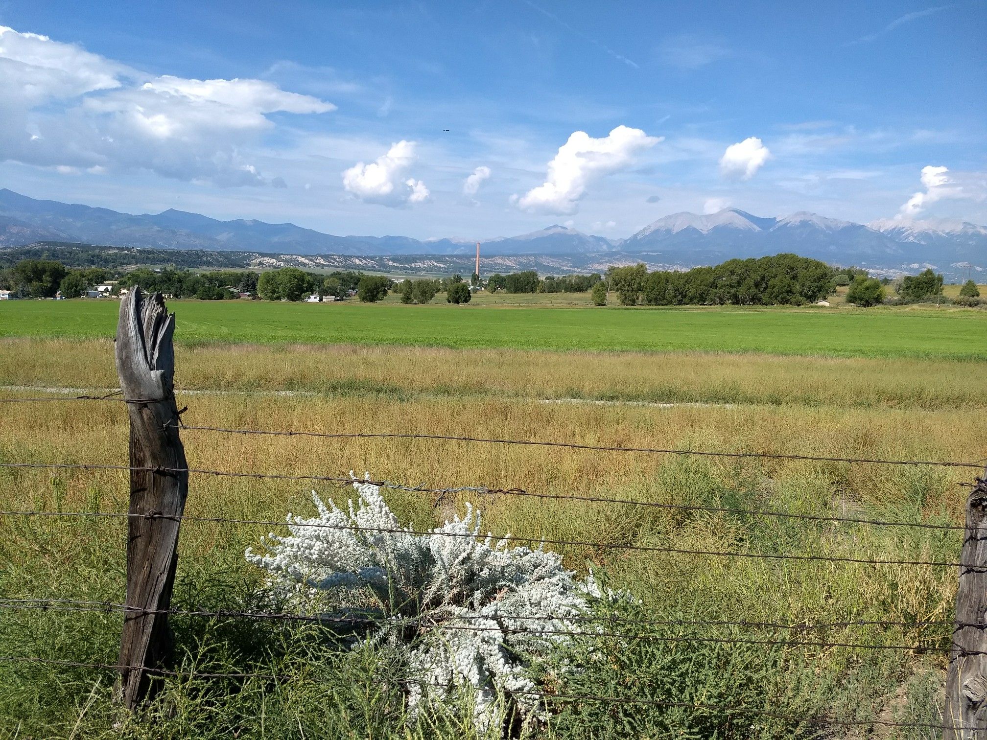 A barbed wire fence in a field, with distant mountains under a bright, cloudy sky. - The Salida River Trail – Historic Downtown Salida loop from Salida