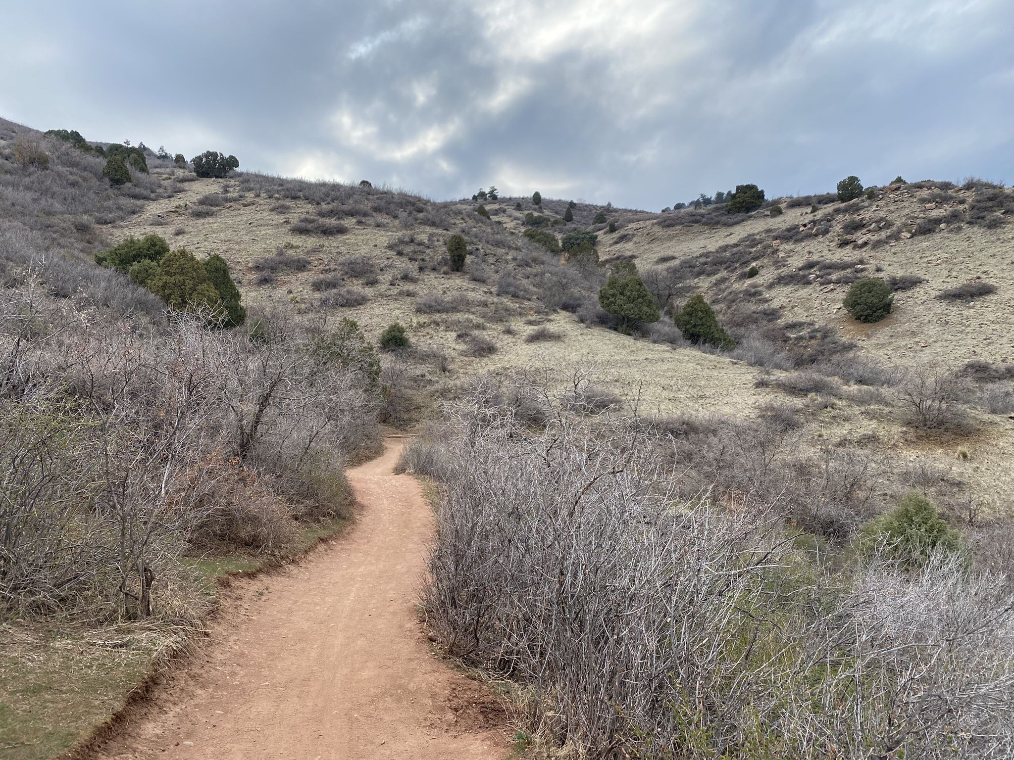 Dirt trail winding up dry, brushy hills under an overcast sky. - Castle Trail loop — Mount Falcon Park