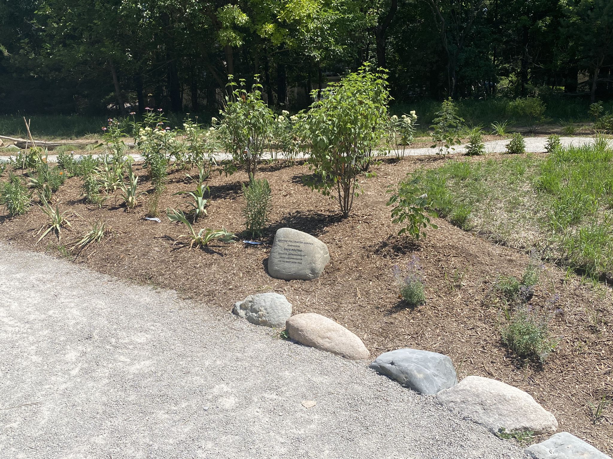 A sunny garden bed with small plants, rocks, and an engraved stone. - Paint Creek Trail loop from Rochester