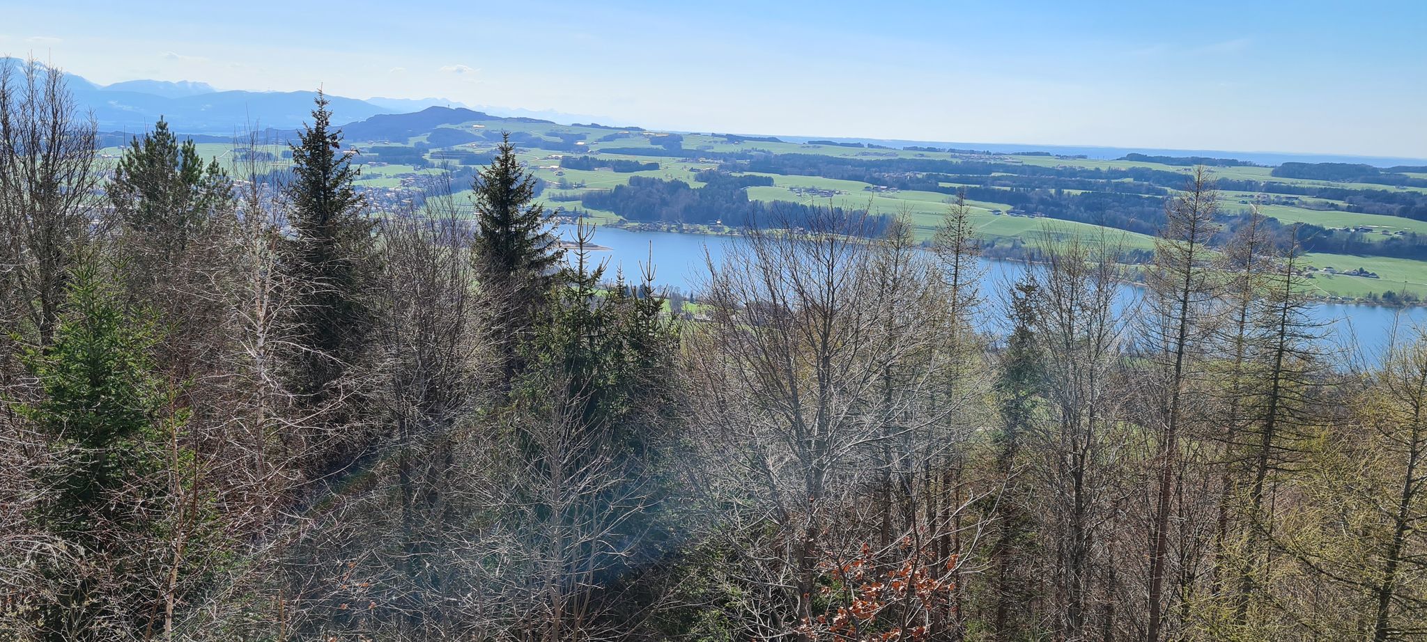 Der Obertrumersee
