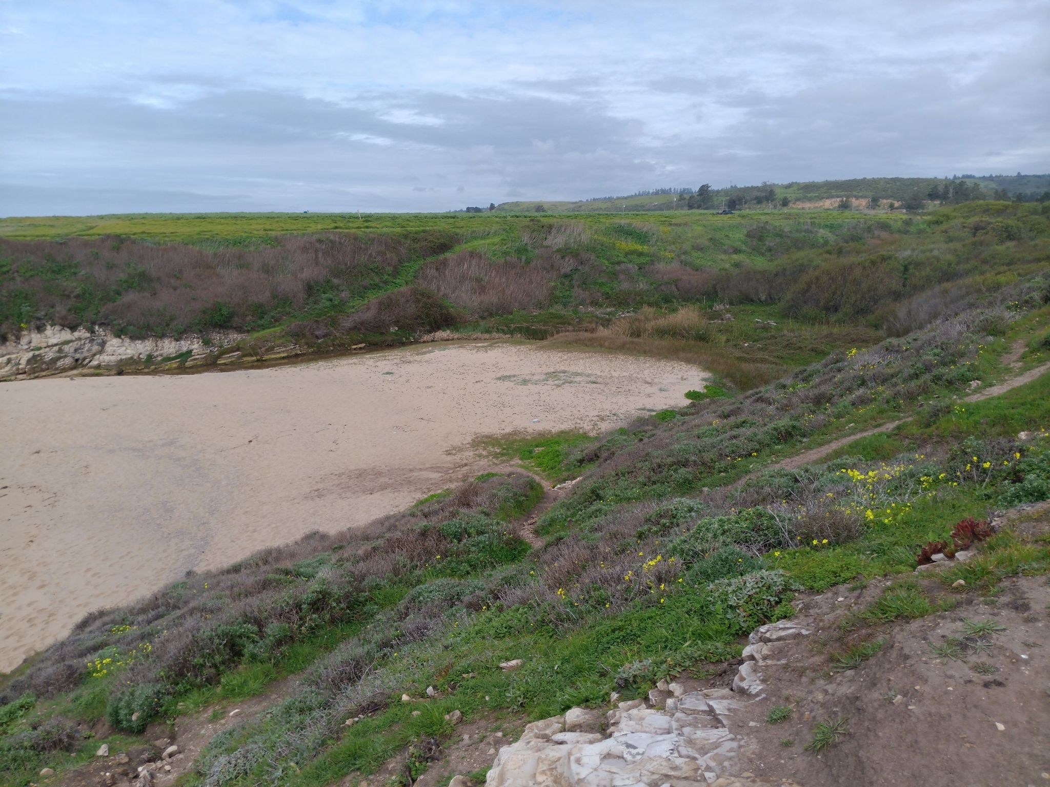 Wide sandy beach surrounded by grassy hills under an overcast sky. - Old Cove Landing Trail to Sand Plant Beach