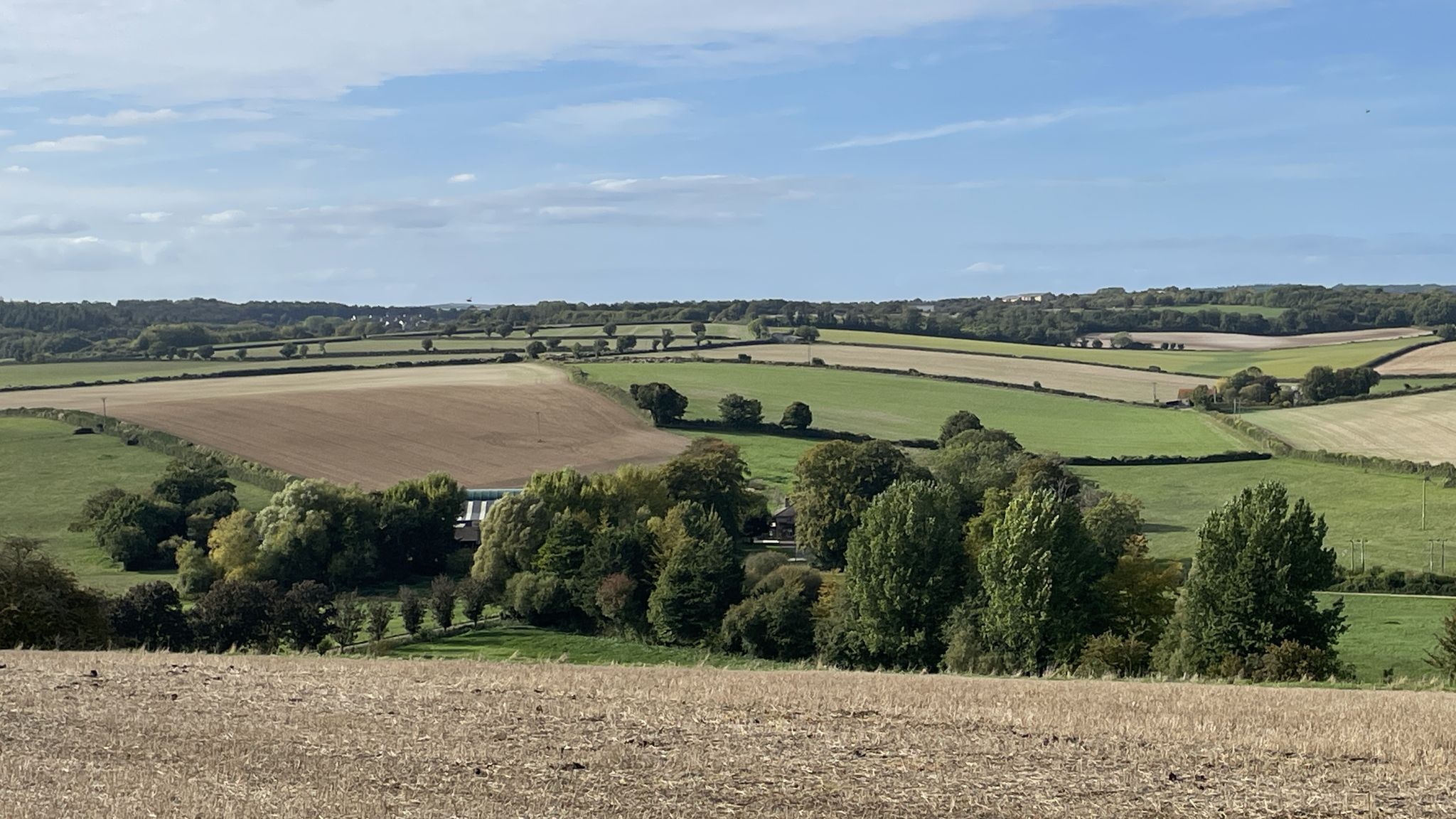 View over the Tarrant valley