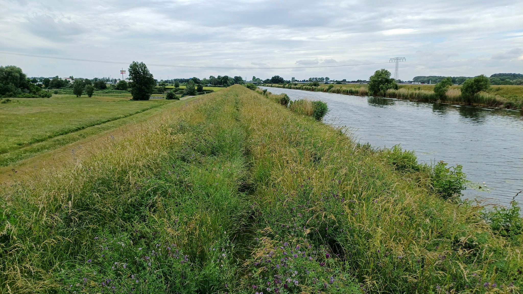herrlich zugewachsen / Deichkrone und Kanal sind ca. 10 m über der restlichen Umgebung