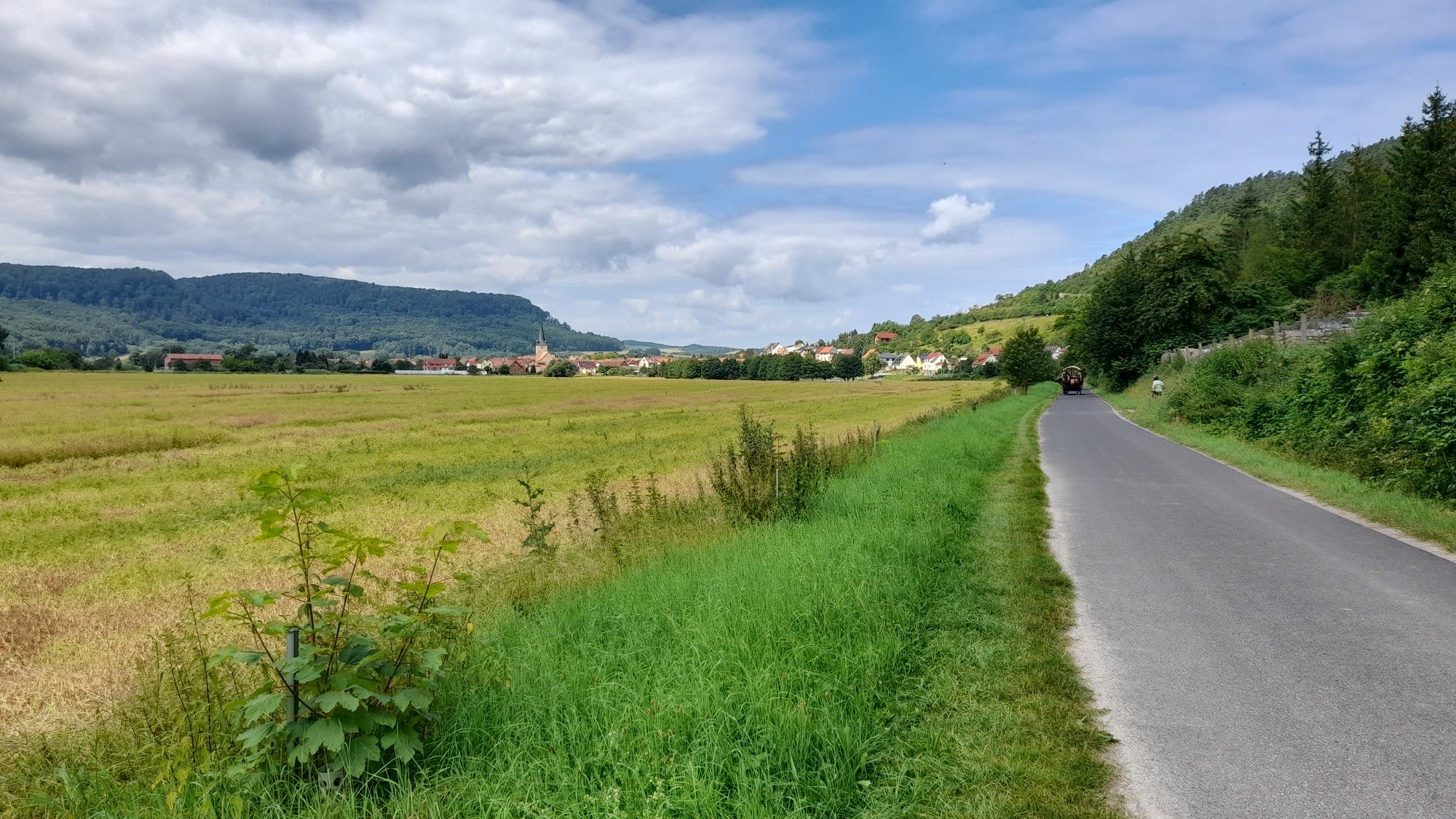Blick auf Falken