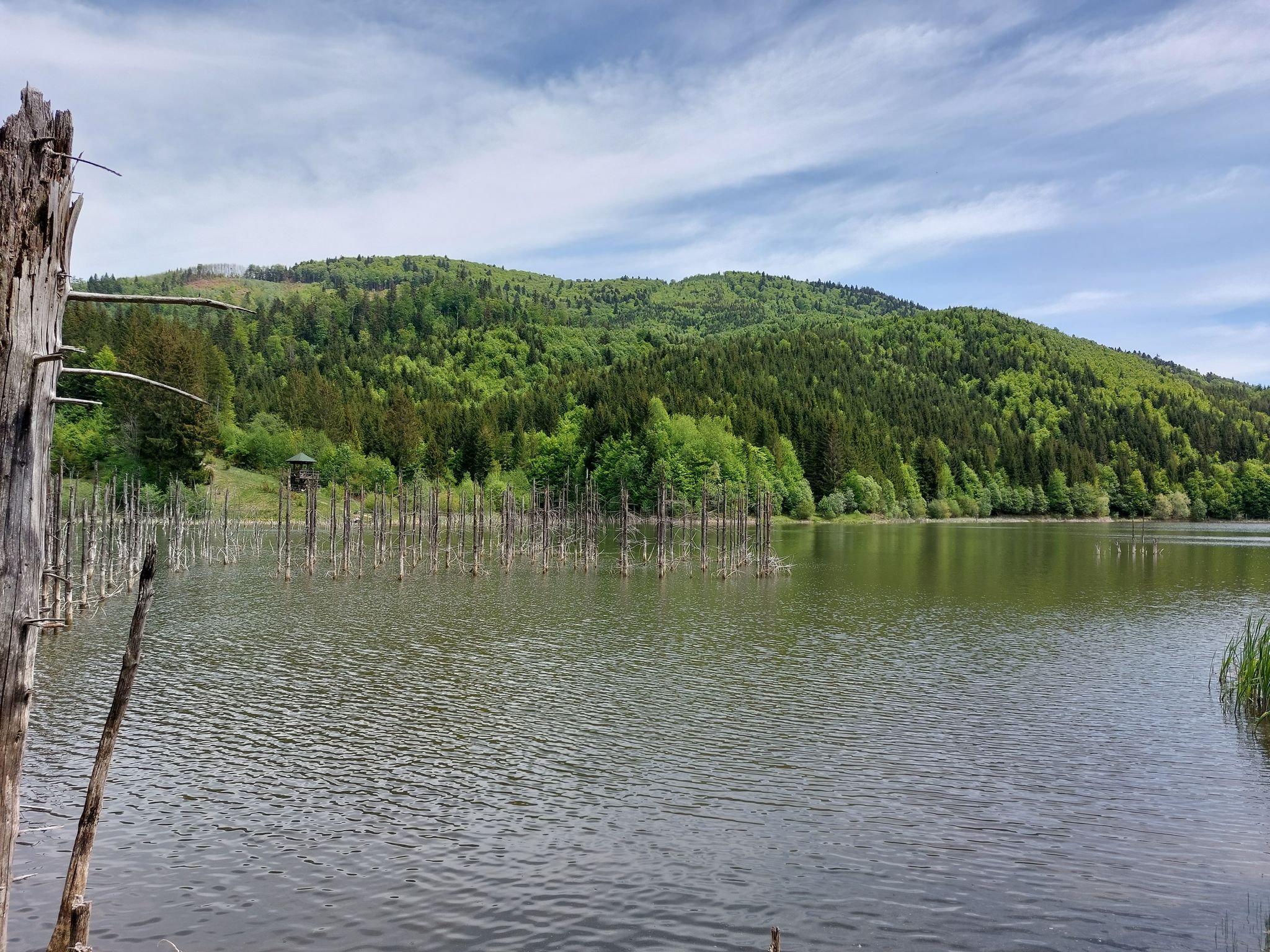 Lacul Cuejdel