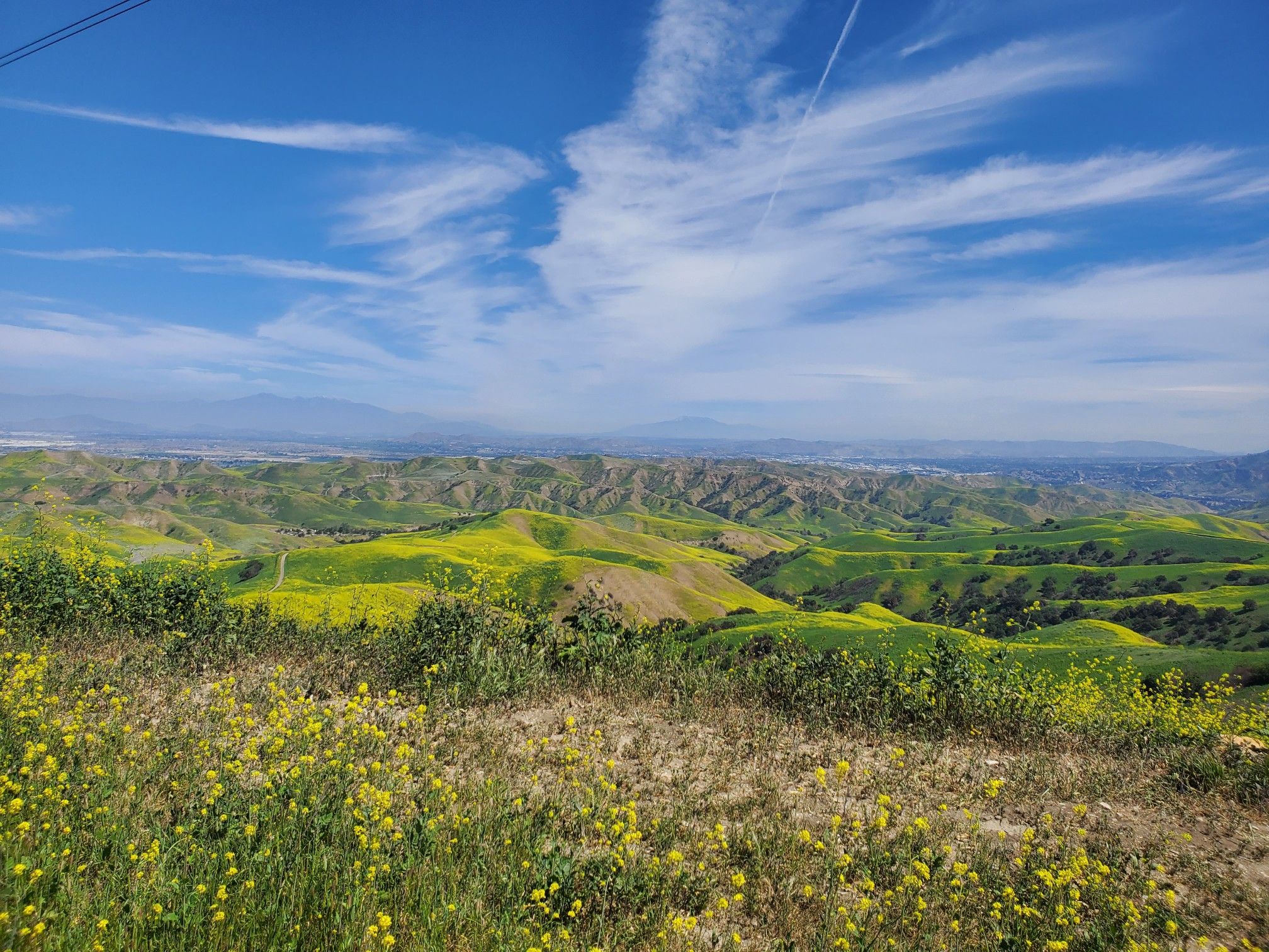 Bright, sunny view of rolling green hills covered in yellow wildflowers. - View of Yorba Linda – Four Corners loop from Carbon Canyon Regional Park