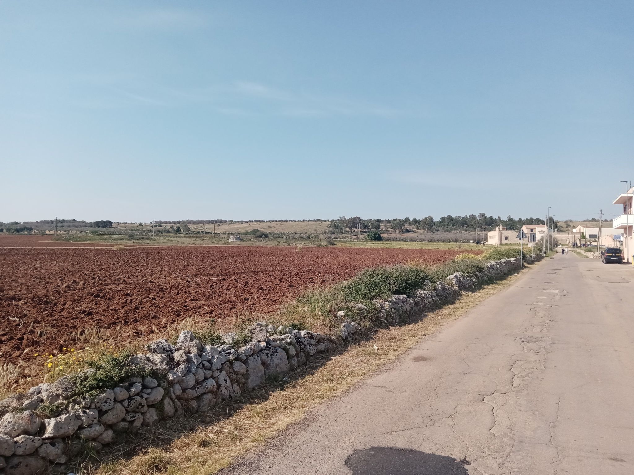 Caprarica