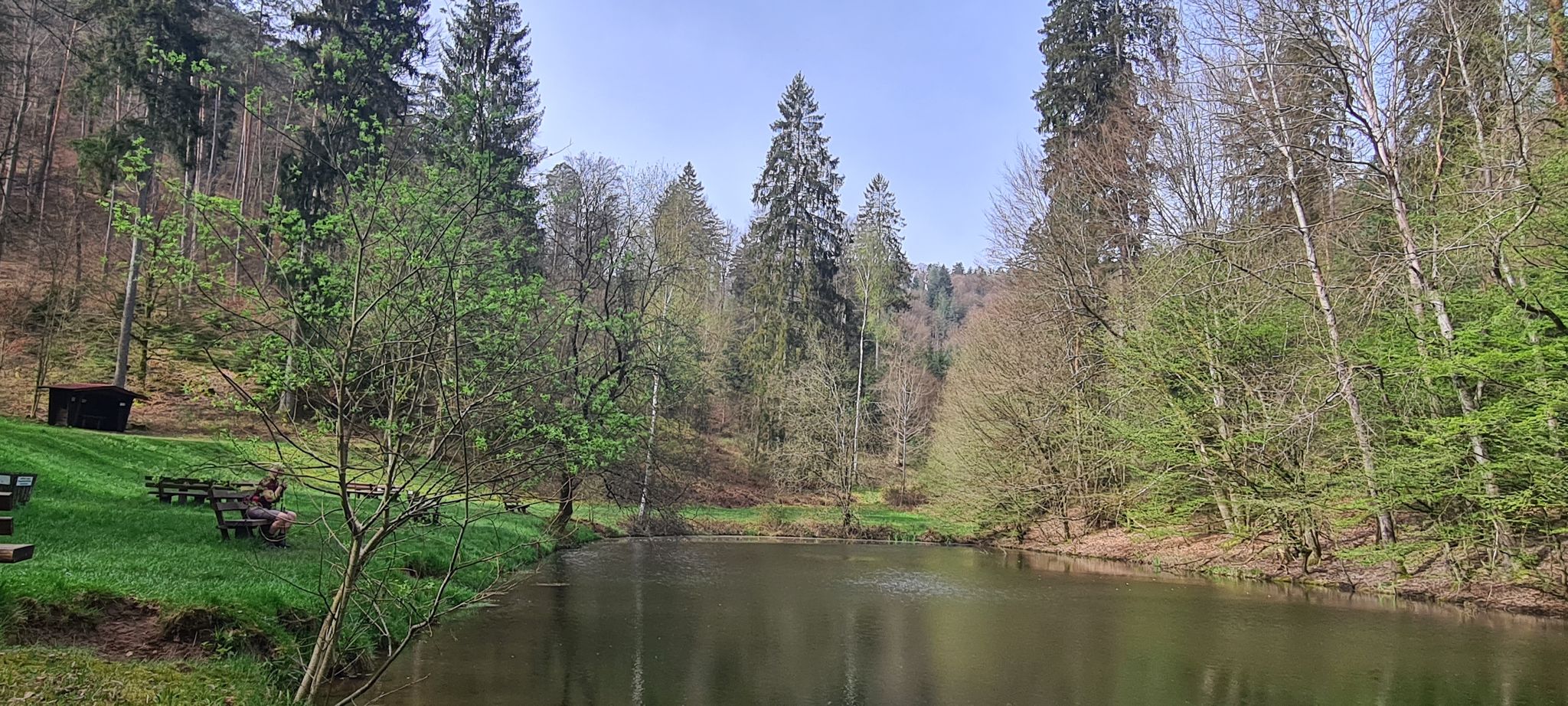 Verborgen im Wald
