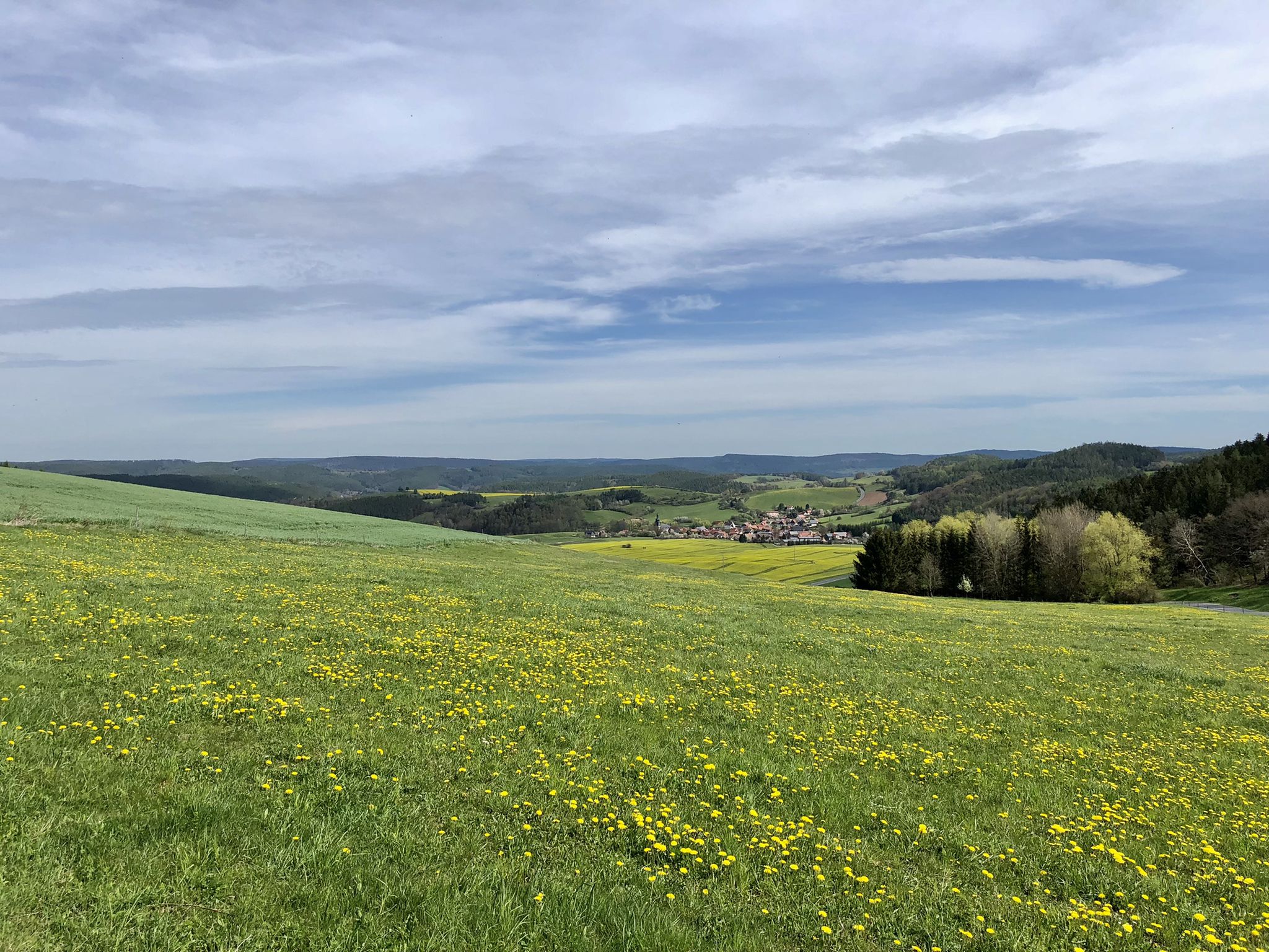 ...weiter durch die Felder...