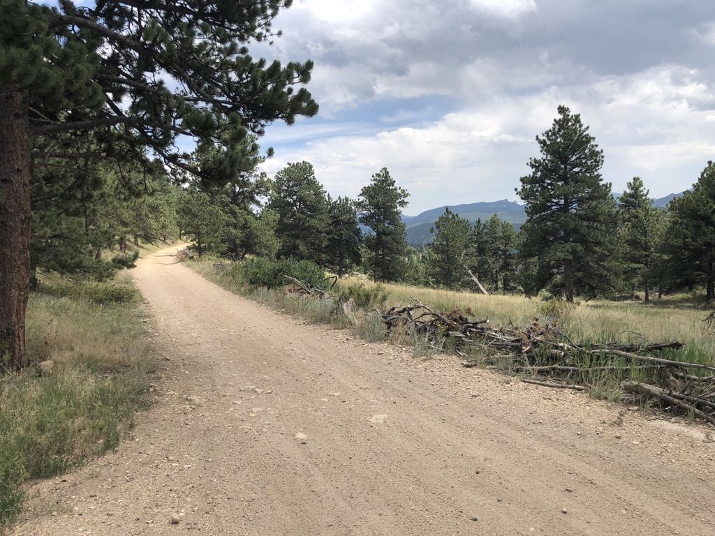 A wide dirt road through a grassy, forested landscape under clouds. - Nederland – Barker Reservoir Road (paved) loop from Nederland