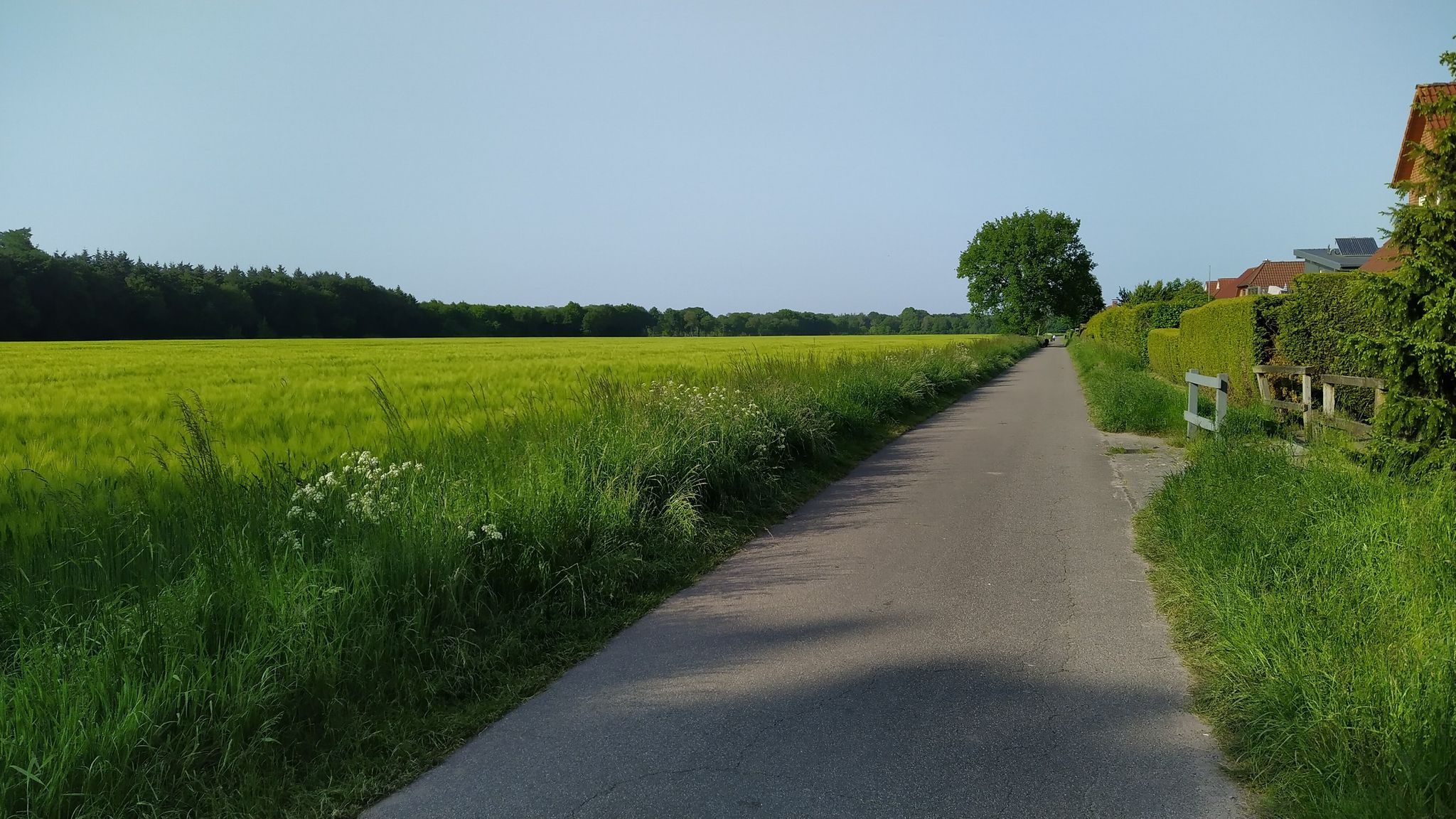 Hundeflaniermeile und -klo
