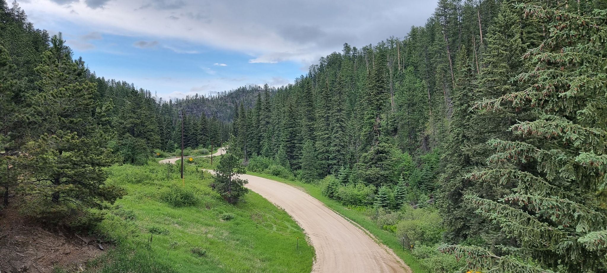 A winding dirt road through a dense pine forest valley under a cloudy sky. - Rapid City to Hill City loop