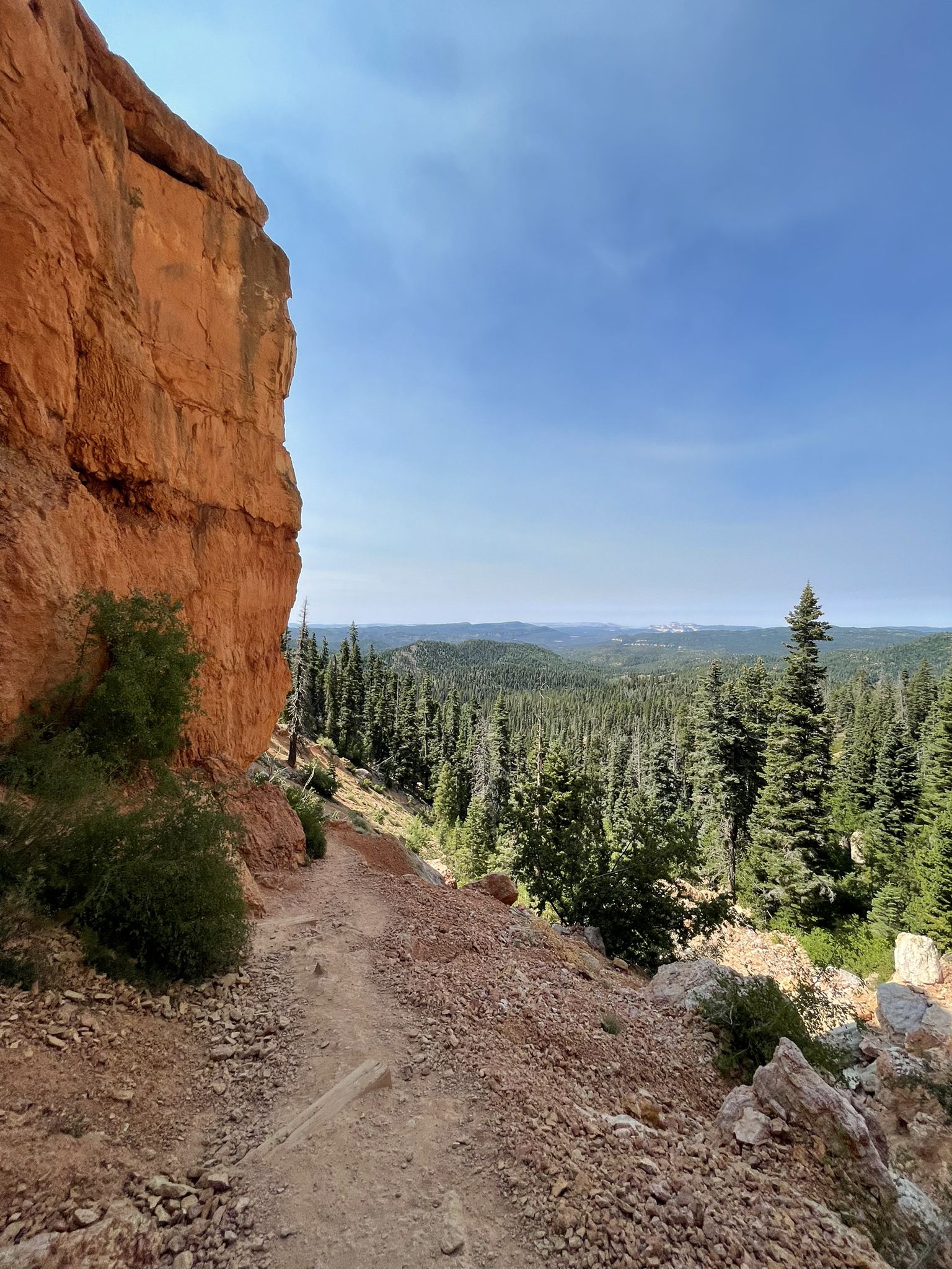 Dirt path next to red cliff, overlooking a vast green forest. - Virgin River Rim Trail - Strawberry Point to Cascade Falls