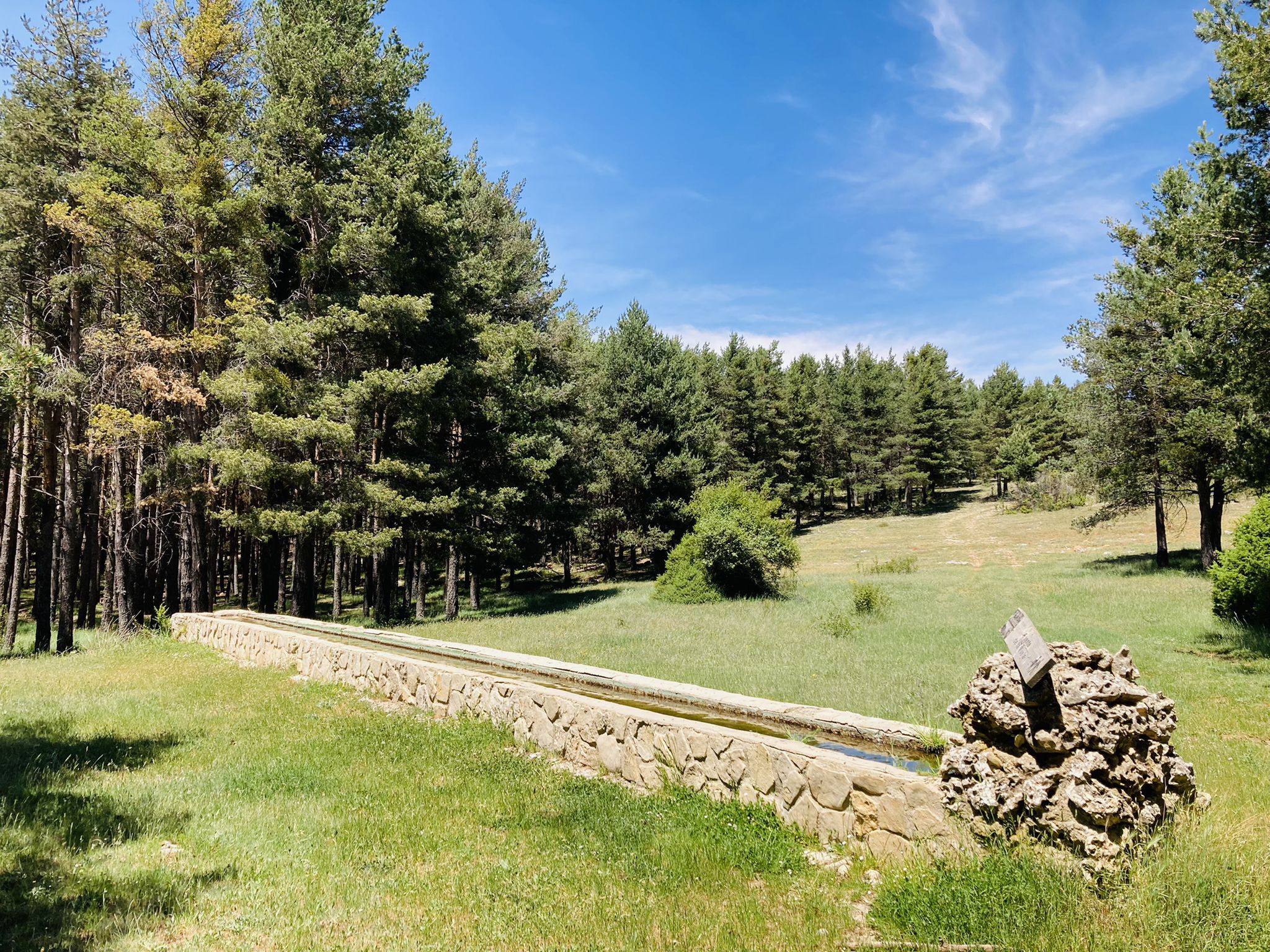 Fuente de la Muela