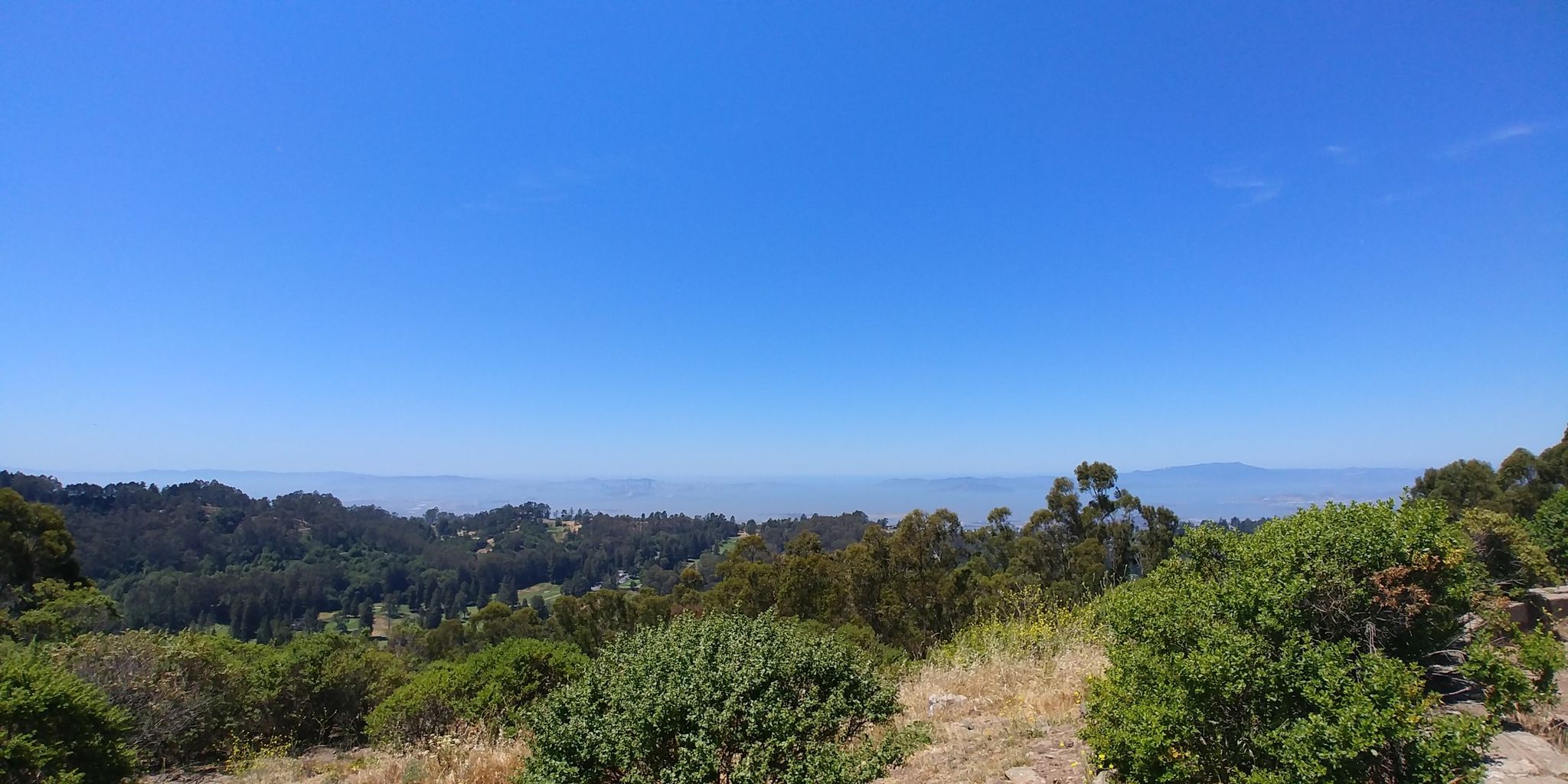 Wide view of green forest and distant hazy landscape under clear blue sky. - Seaview Trail to Vista Point