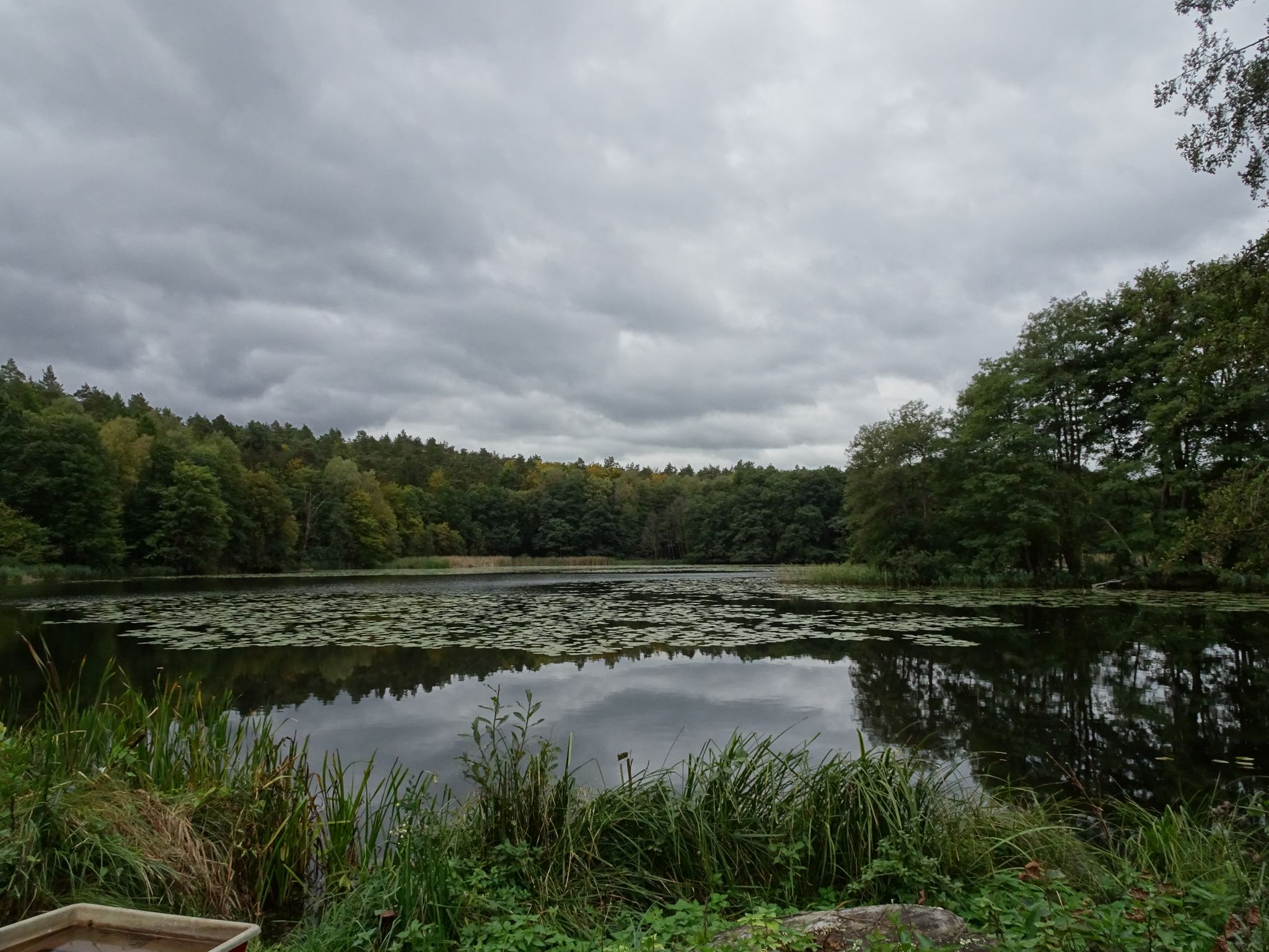 Mühlenteich