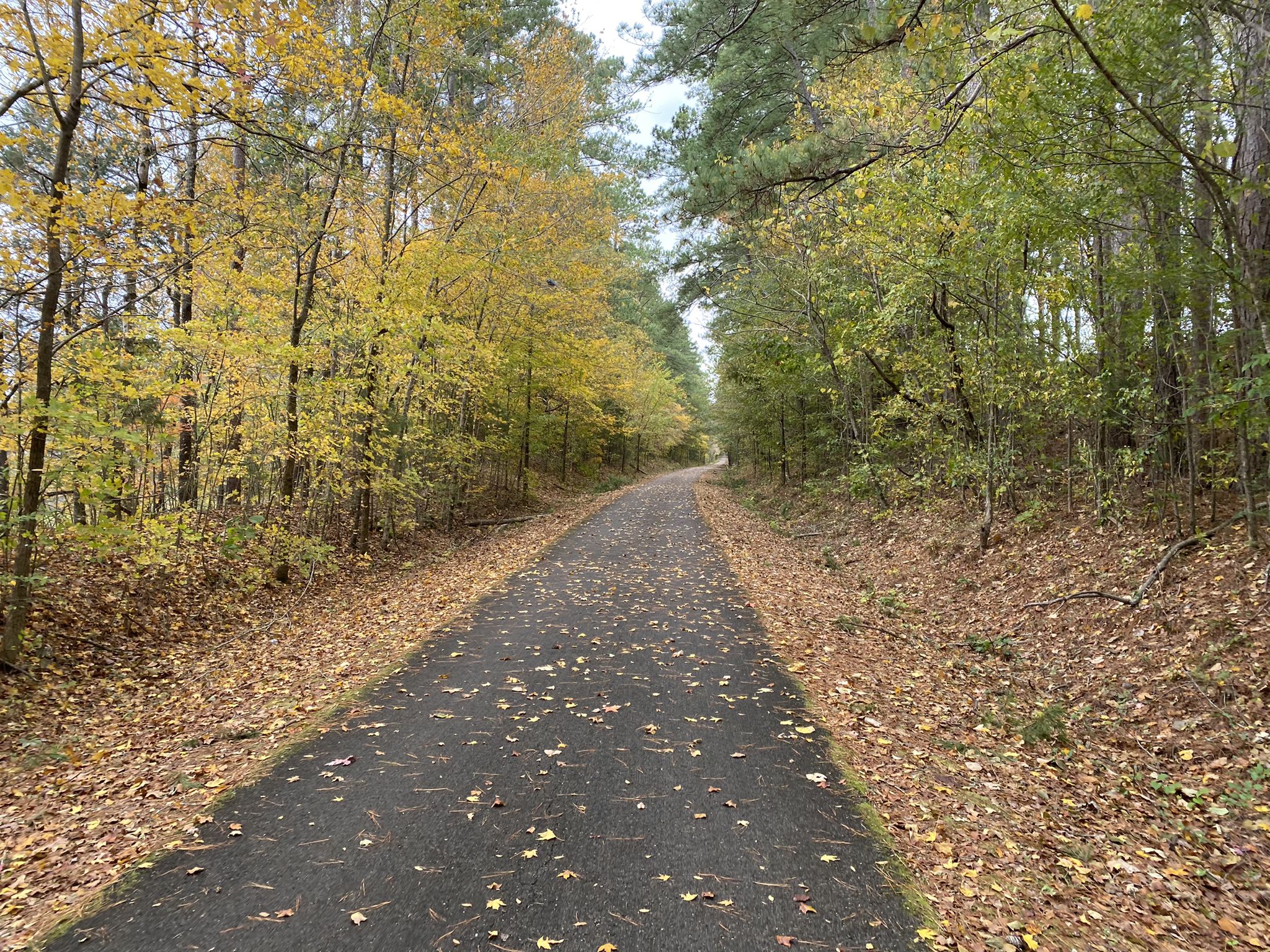 Paved path winding through a forest with colorful autumn leaves under an overcast sky. - Wygant Hill – Jacksonville Train Depot loop from Anniston
