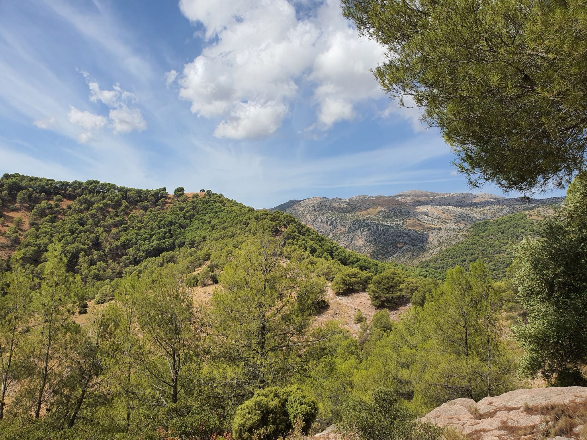 preciosas las vistas
