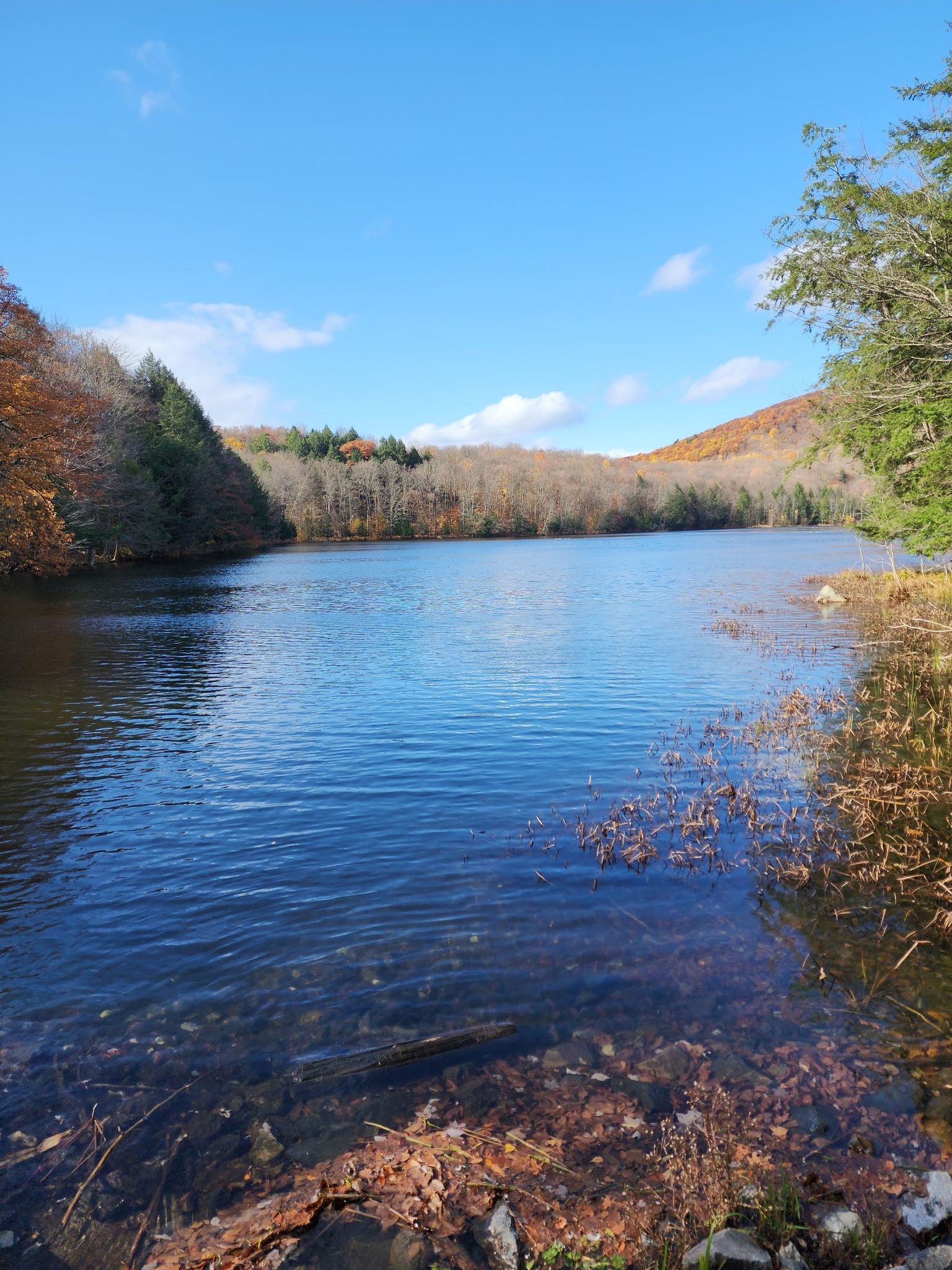 lac
