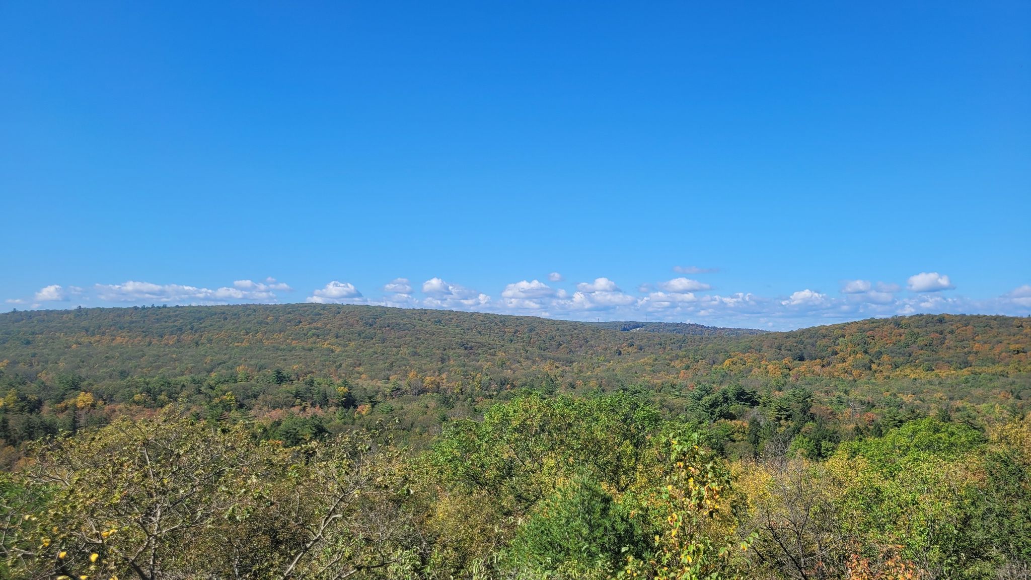 Vast forested hills with autumn colors under a bright blue sky. - State Highway 17 to Orange Turnpike via Appalachian Trail