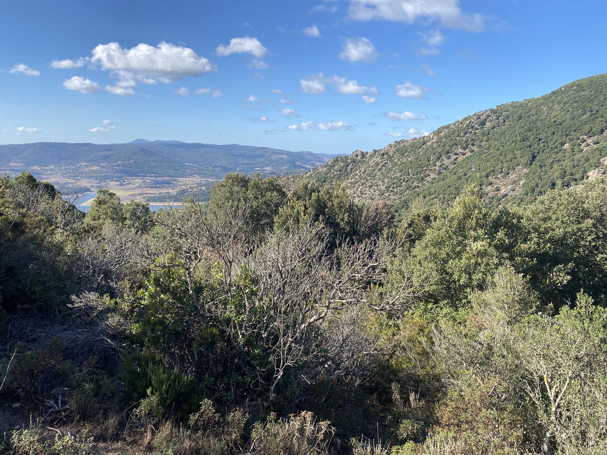 Blick aus dem Trail auf den Lago di Lerno
