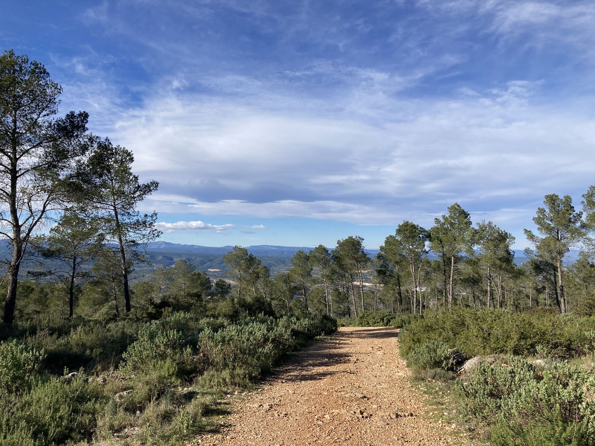 Paraje Natural Umbría-La Plana