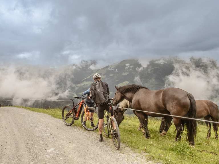 27 5 x 2.8 mtb reifen 27.5x2.8 | 27.5 2.80 All-Mountain MTB-Reifen | TPI, Punctursichere Dickere Seitenwand | 20-35 PSI Geeignet Choice:Wayscral Everyway E100 COOL GEAR Kid's Pier Motor:Yamaha SyncDrive Sport2