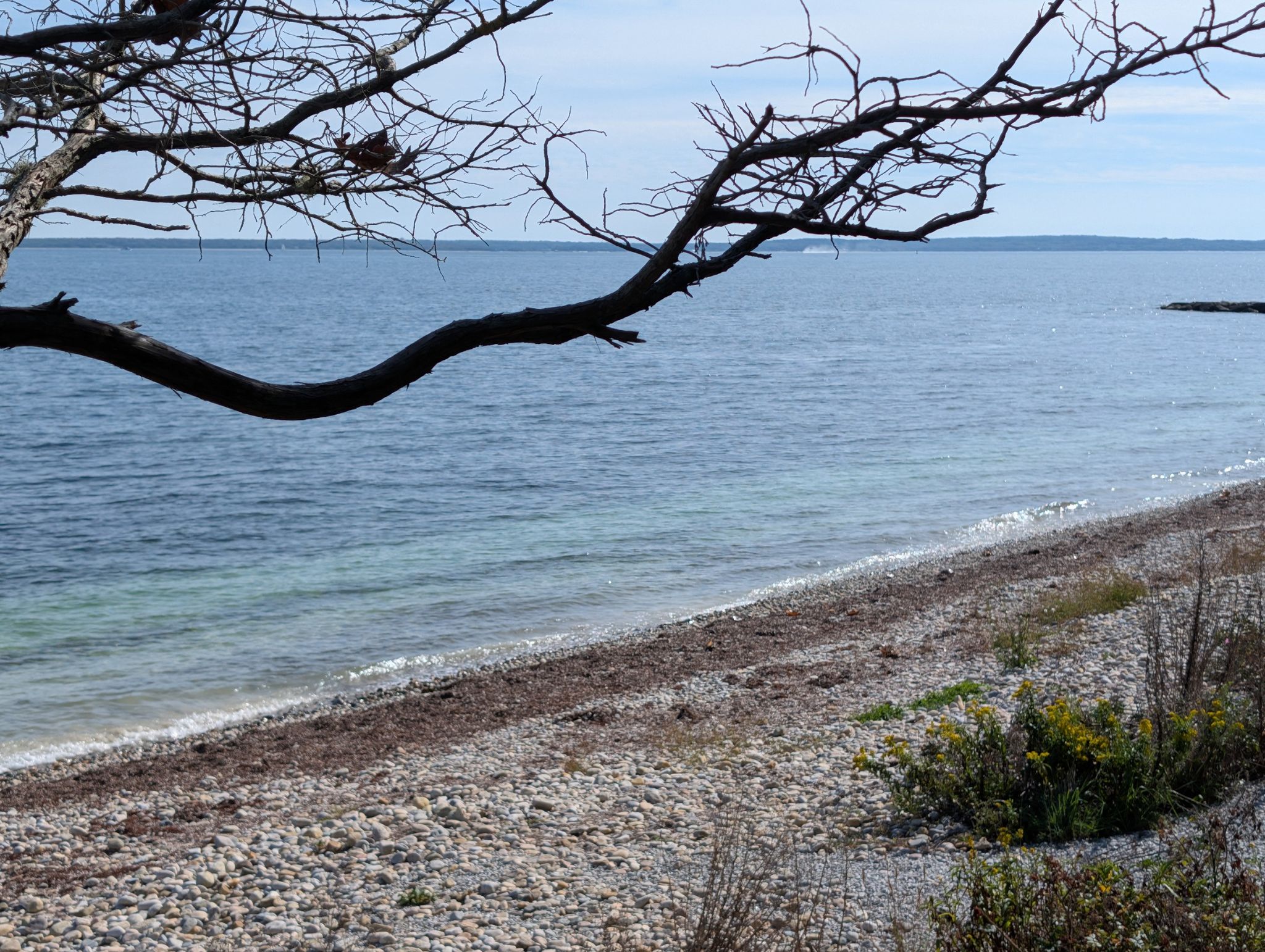 Bare tree branch frames a rocky beach and calm blue ocean under a bright sky. - Trunk River Beach – Salt Pond Areas Bird Sanctuary loop from Woods Hole