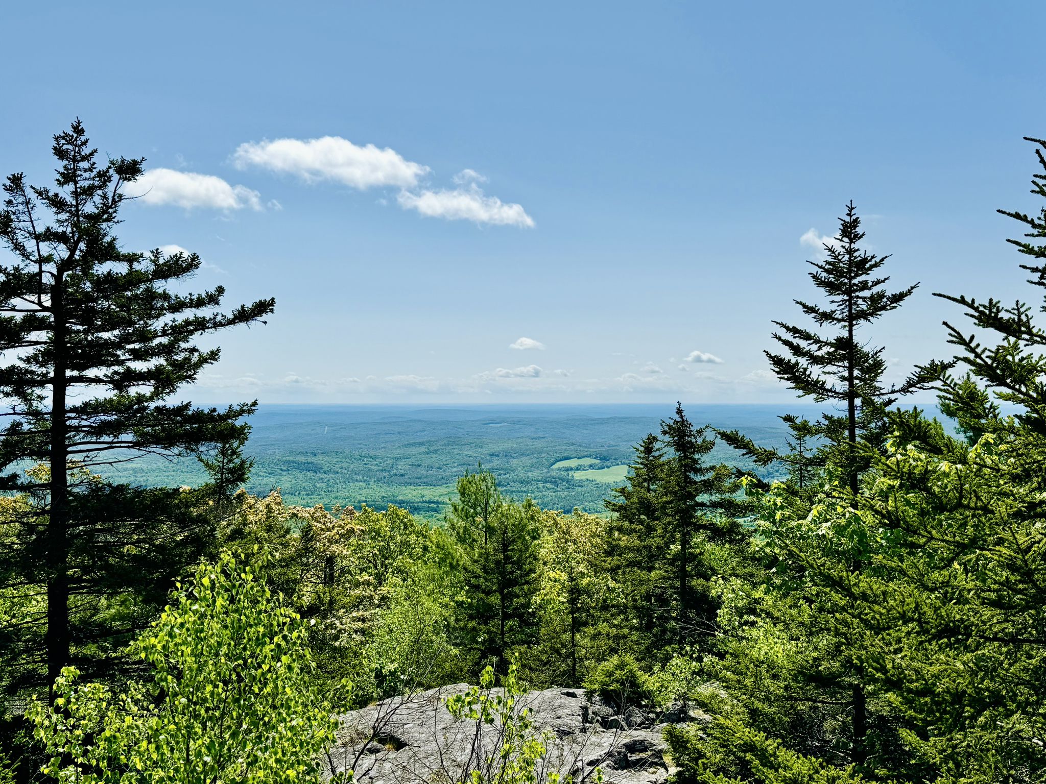 Expansive mountain vista with dense green forests under a bright blue sky. - North Pack Monadnock Mountain loop from Lincoln-Davis Memorial Forest
