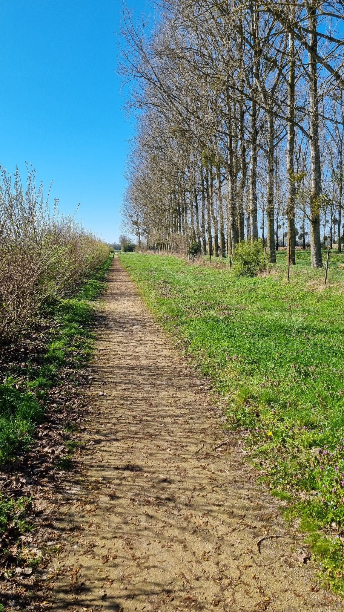 Belle véloroute agréable et roulante / Beautiful, pleasant and easy cycle route