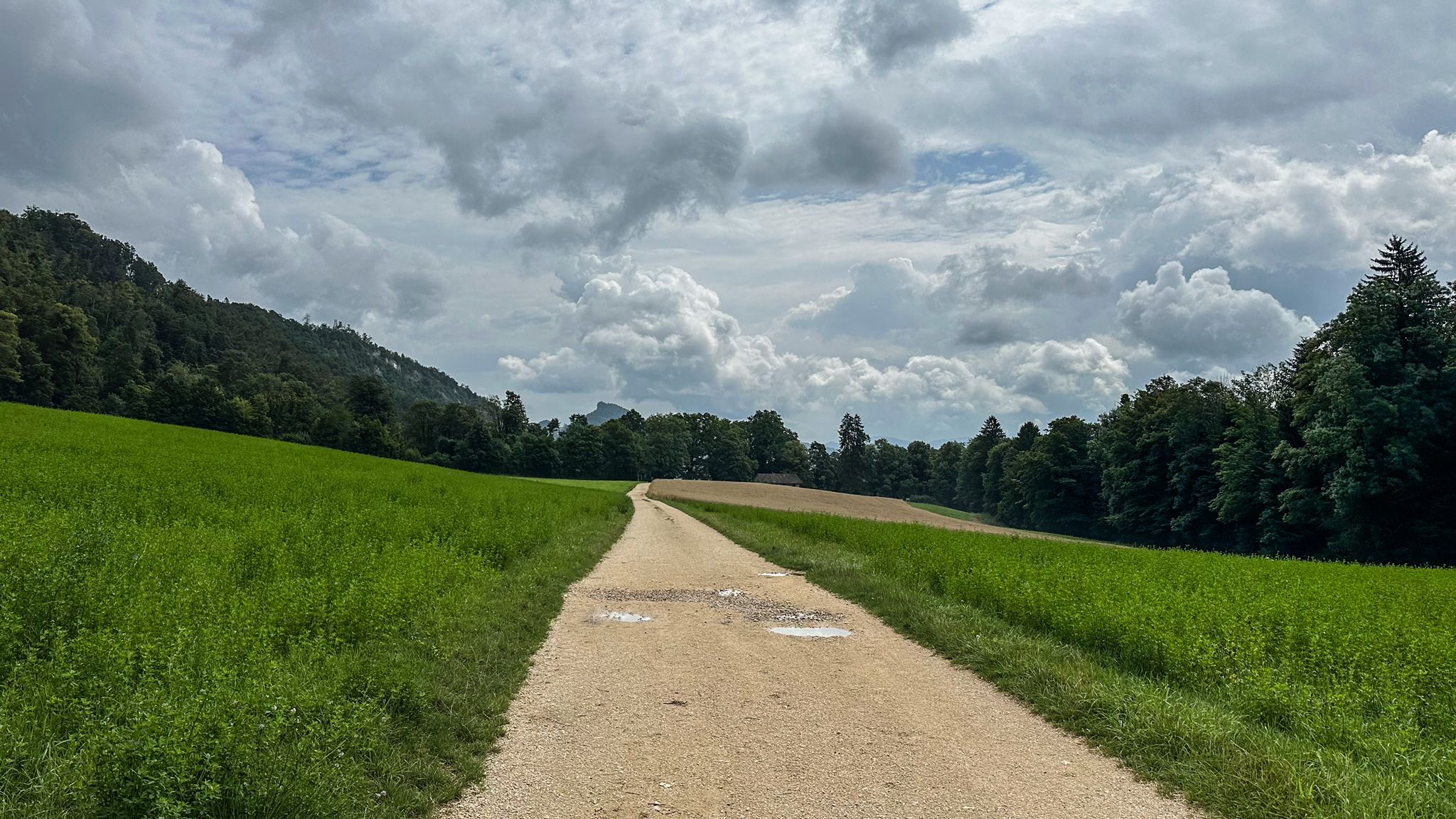 ...kurz im trockenen hoch auf den Hügel La Haute-Borne...