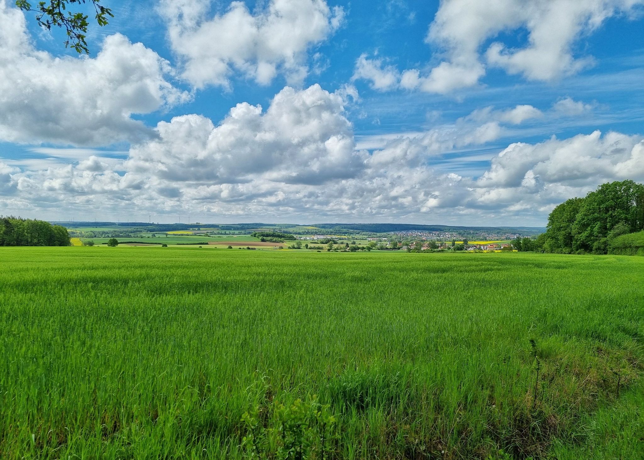 Blick zurück nach Burgebrach