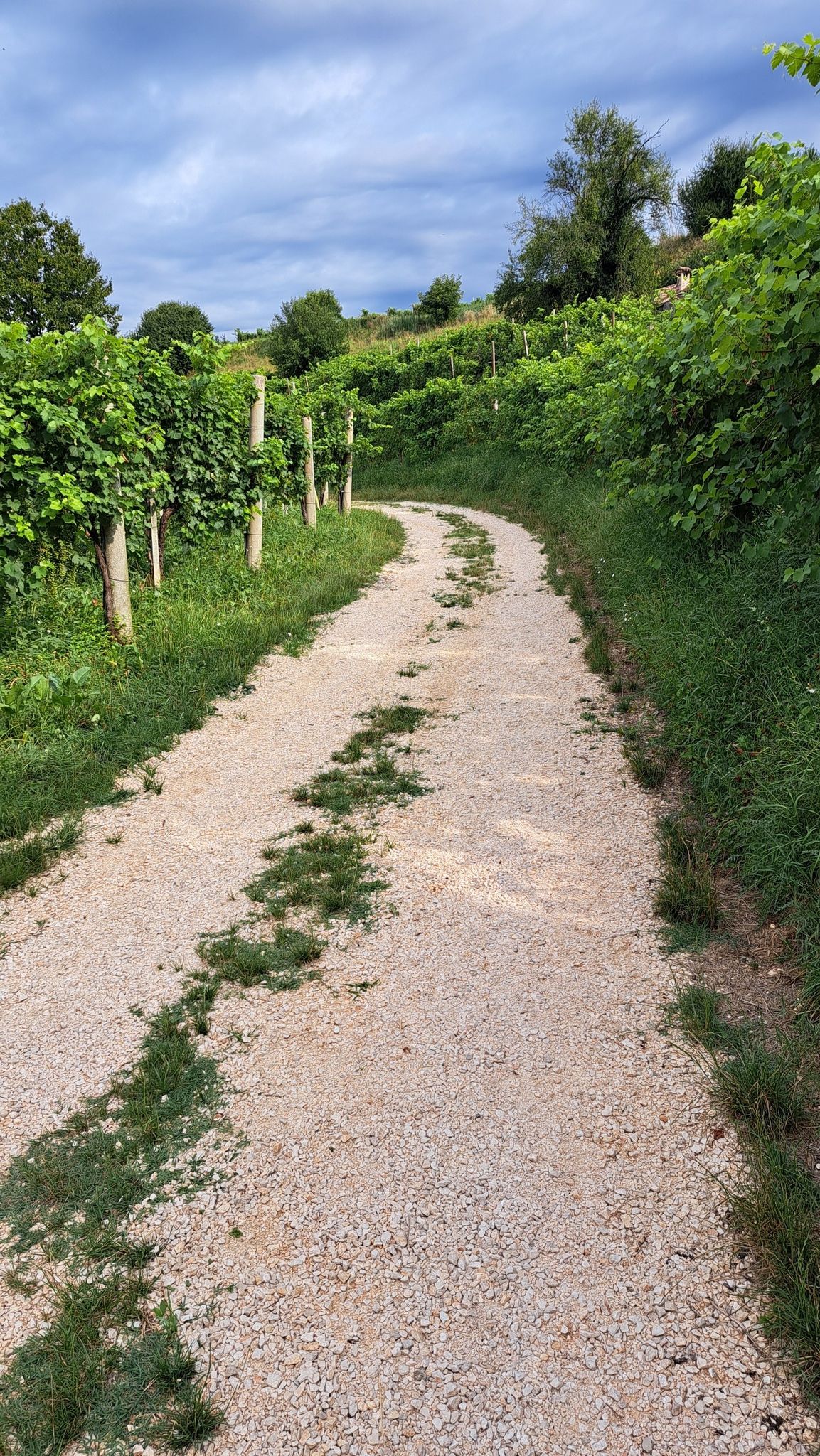 Valdobbiadene
