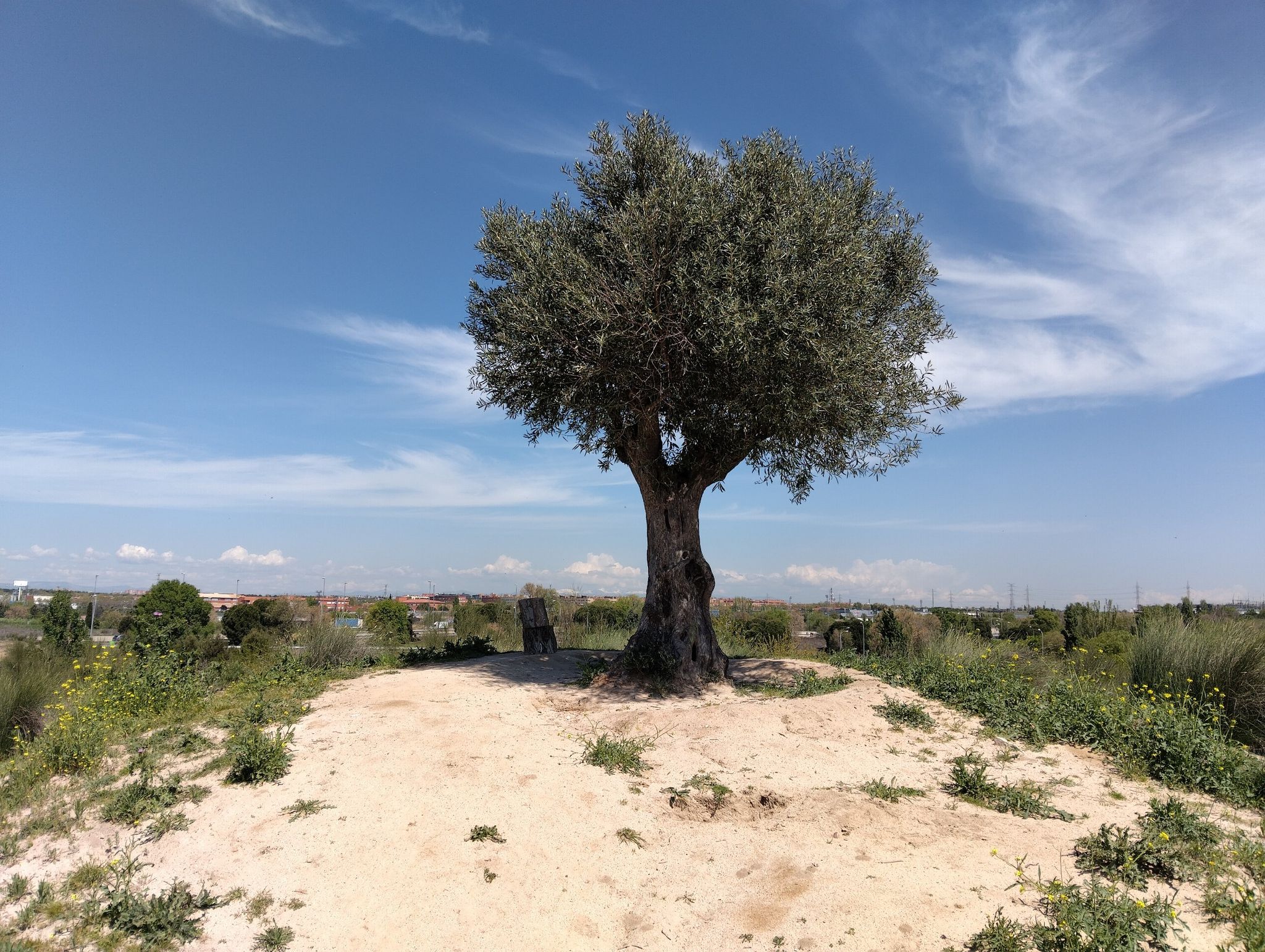 Mirador de la colina.