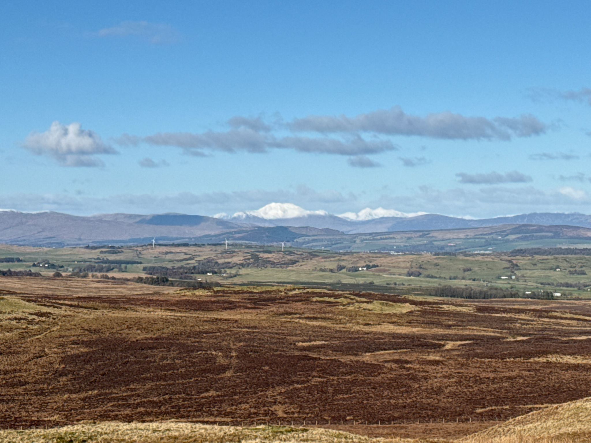 Ben Lomond from Windy Hill