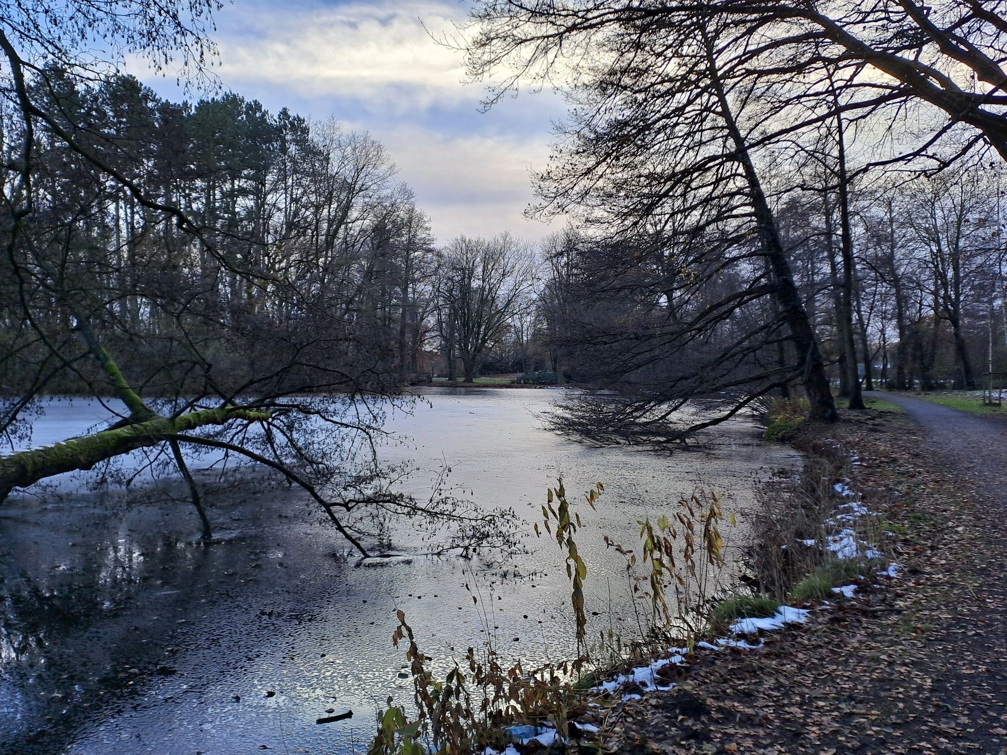 Schwanenteich im Stadtpark