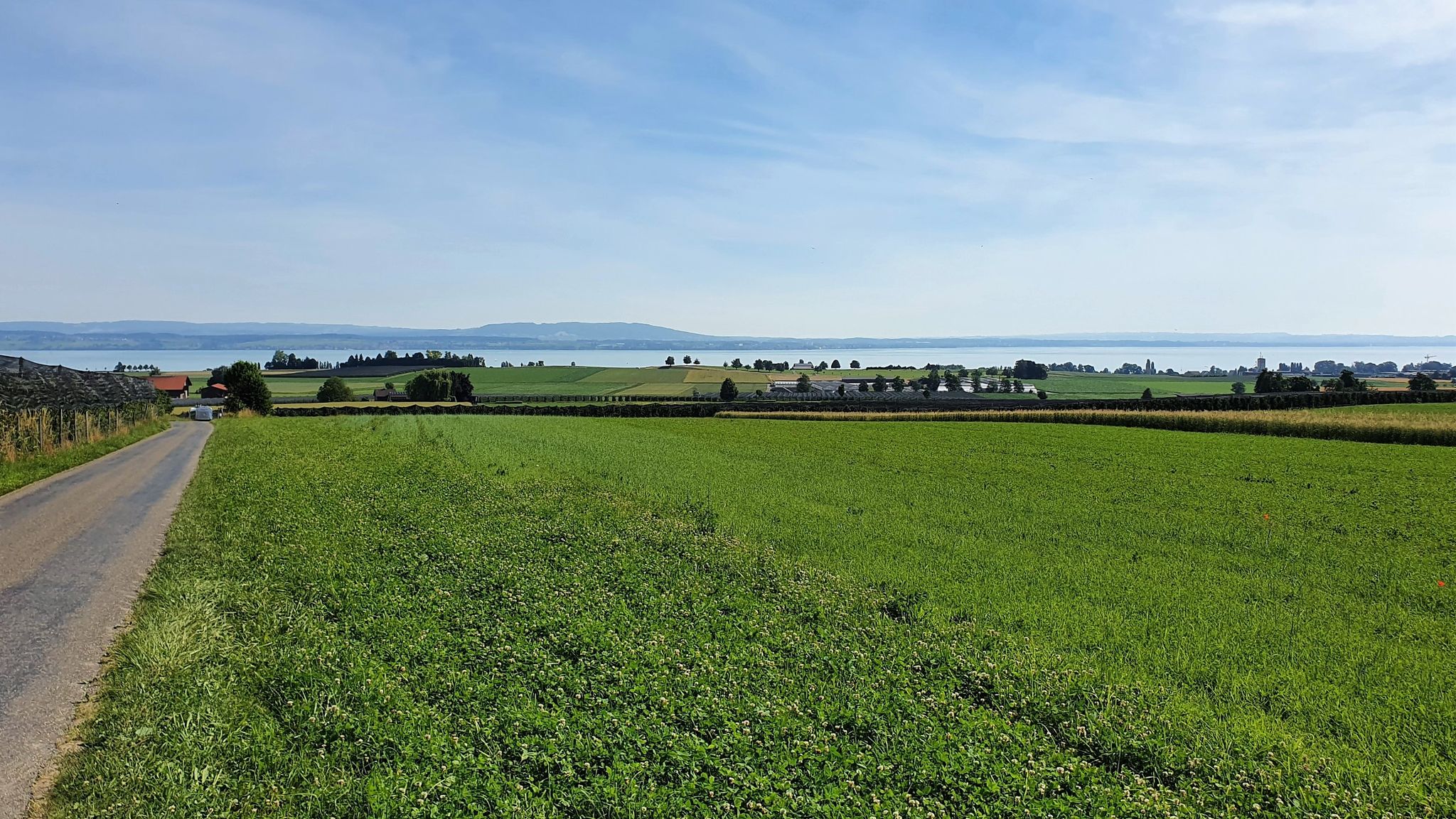 Blick zum nahen Bodensee