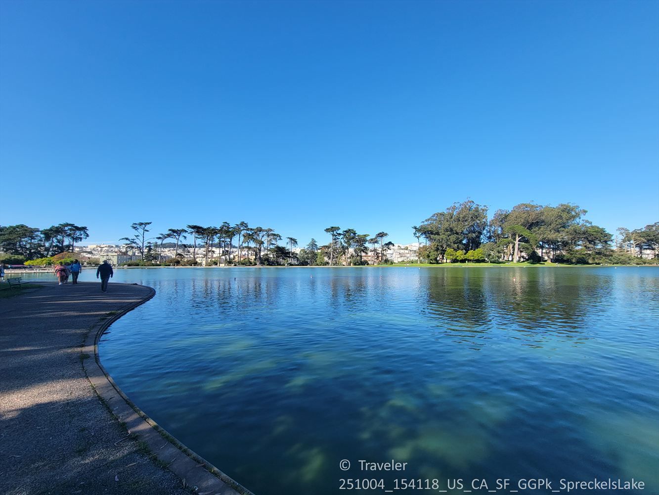 A serene lake with a curved path, distant trees, and a clear blue sky. - Hellman Meadow and Lloyd Lake – Golden Gate Park loop from University of San Francisco