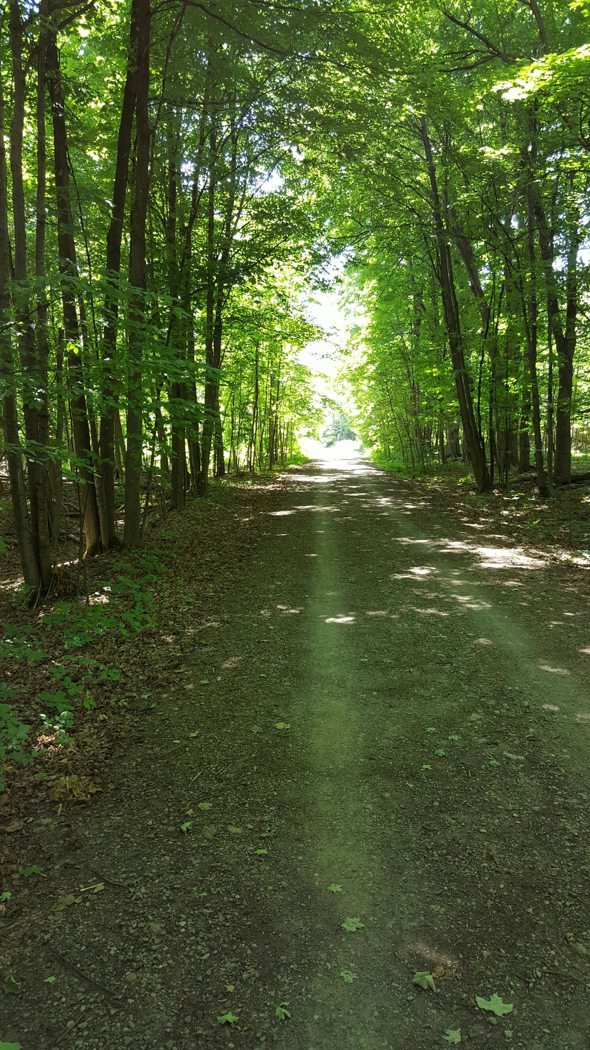Kanata trail