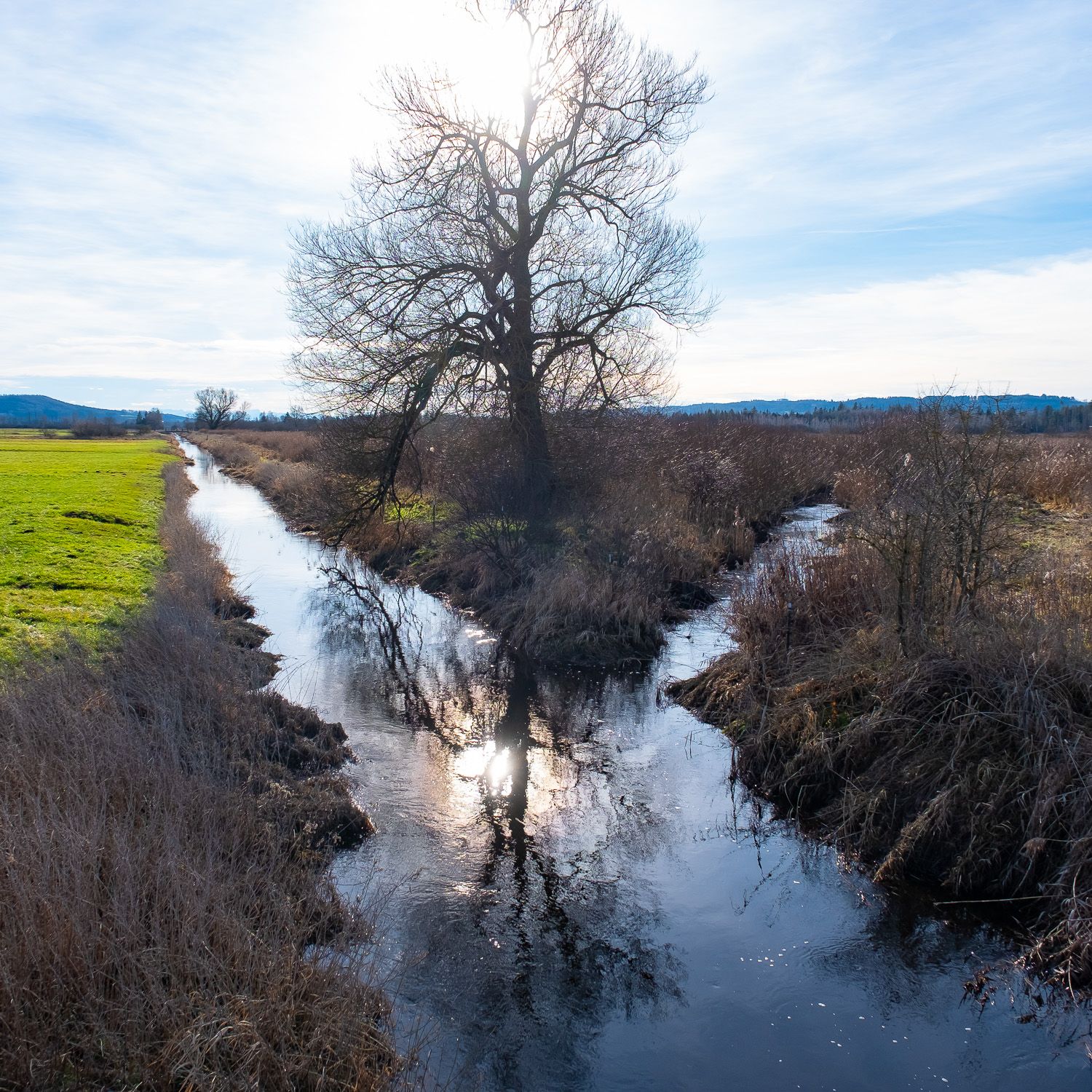 Die Ostrach entwässert das Ried