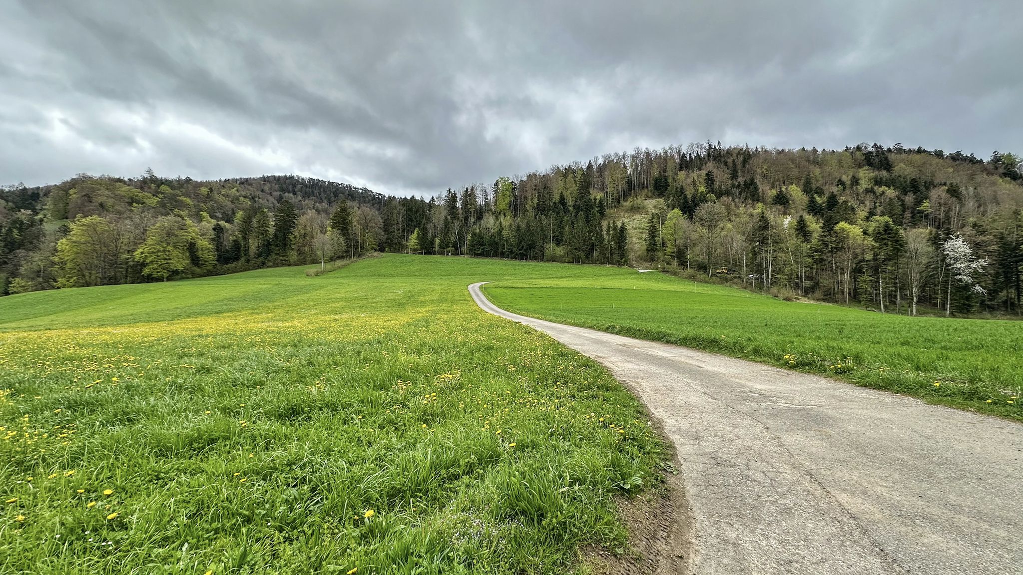 ...Blick nach links: ein toller, teils heftiger Weg Richtung Waldweid oder Wasserfallen hoch🥰...