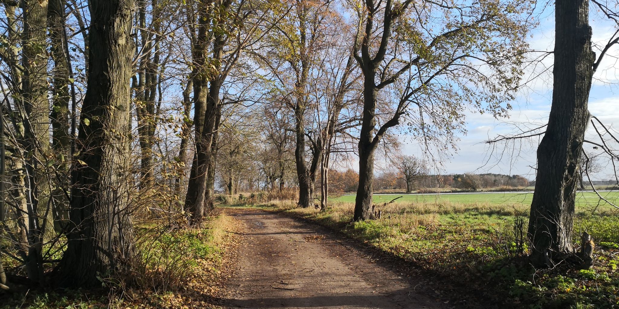 Gabelung
